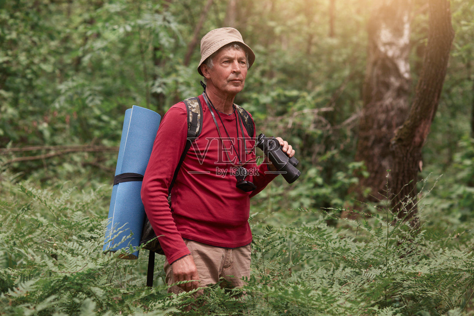 照片中，一位年长的男子在森林中漫步，专心地望着一边，享受着美丽的自然，背上背着背包和睡袋，男性在户外度过时光。旅行的概念。照片摄影图片
