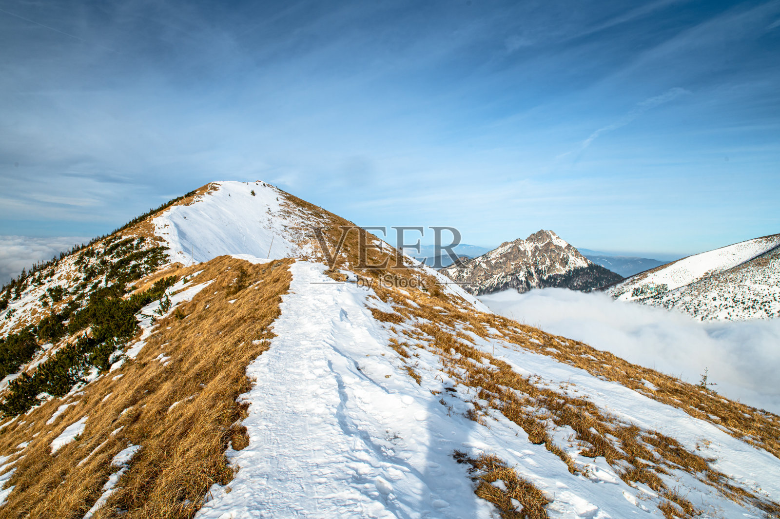 喀尔巴阡山脉的边缘，白雪和黄色的草地照片摄影图片