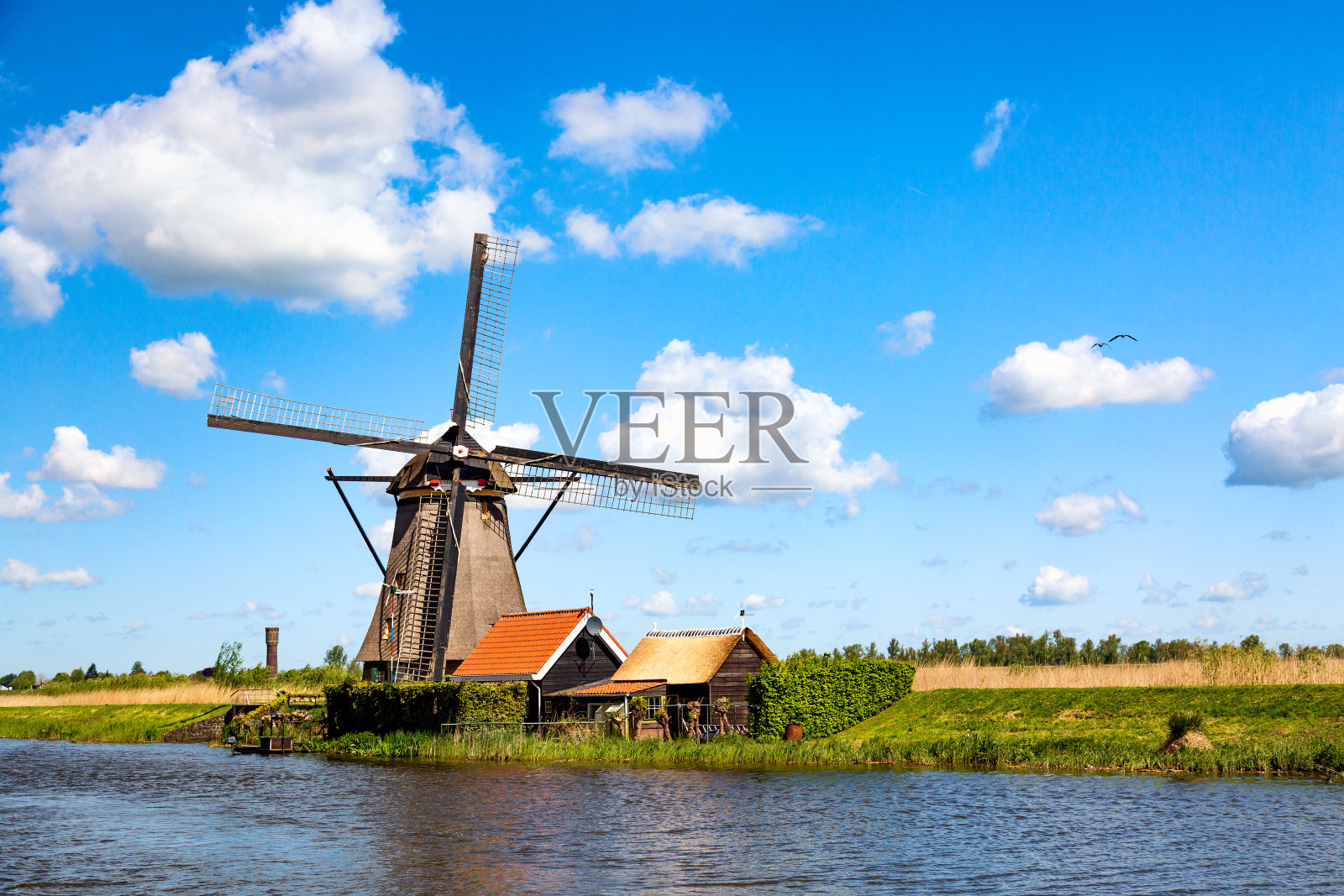 荷兰肯德戴克村著名的风车。欧洲荷兰的春天田园风光。联合国教科文组织世界遗产和著名旅游景点。照片摄影图片