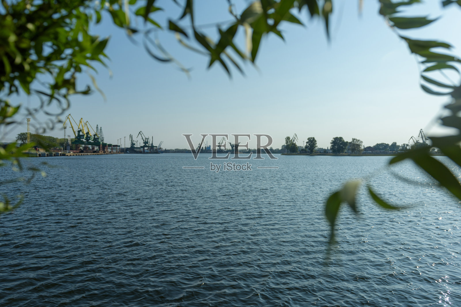 心形柳枝。背景是港口起重机。波兰什切青的大别湖。照片摄影图片
