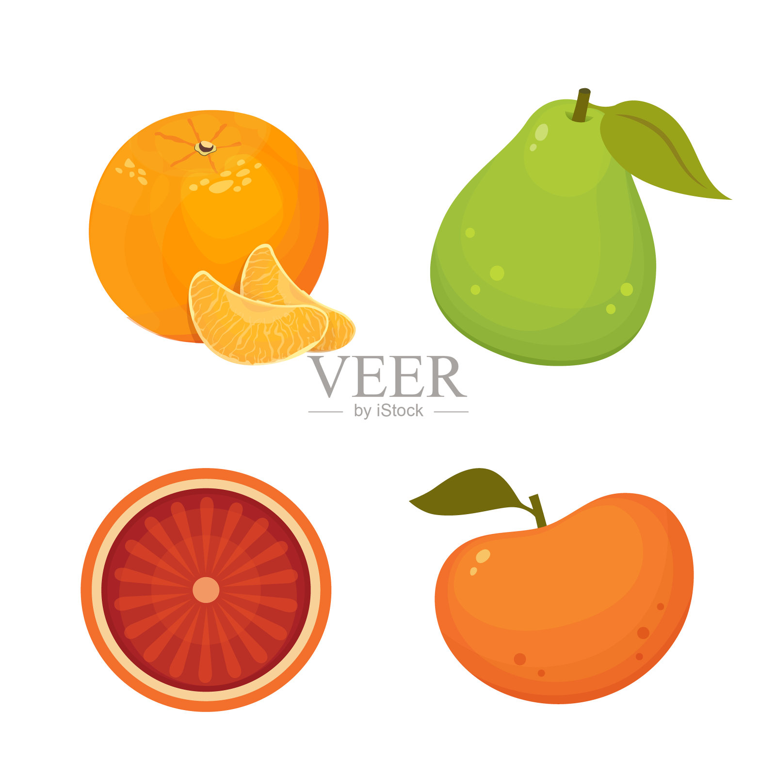 鲜柑橘类水果分离病媒植物与橘子，柚子，橙子，柚子。维生素C的概念。设计元素图片