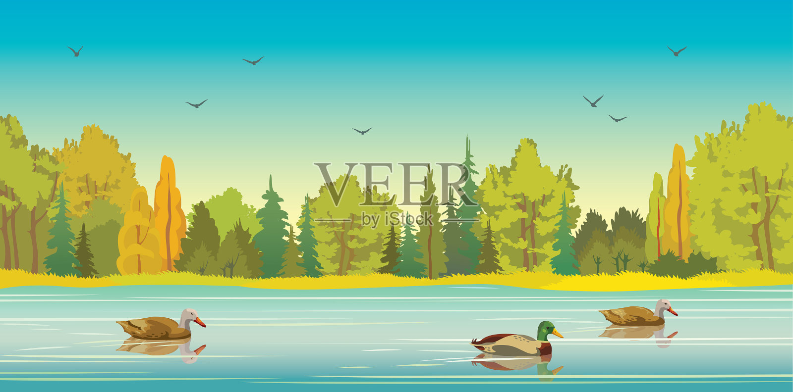 秋天的森林，湖泊和鸭子。插画图片素材