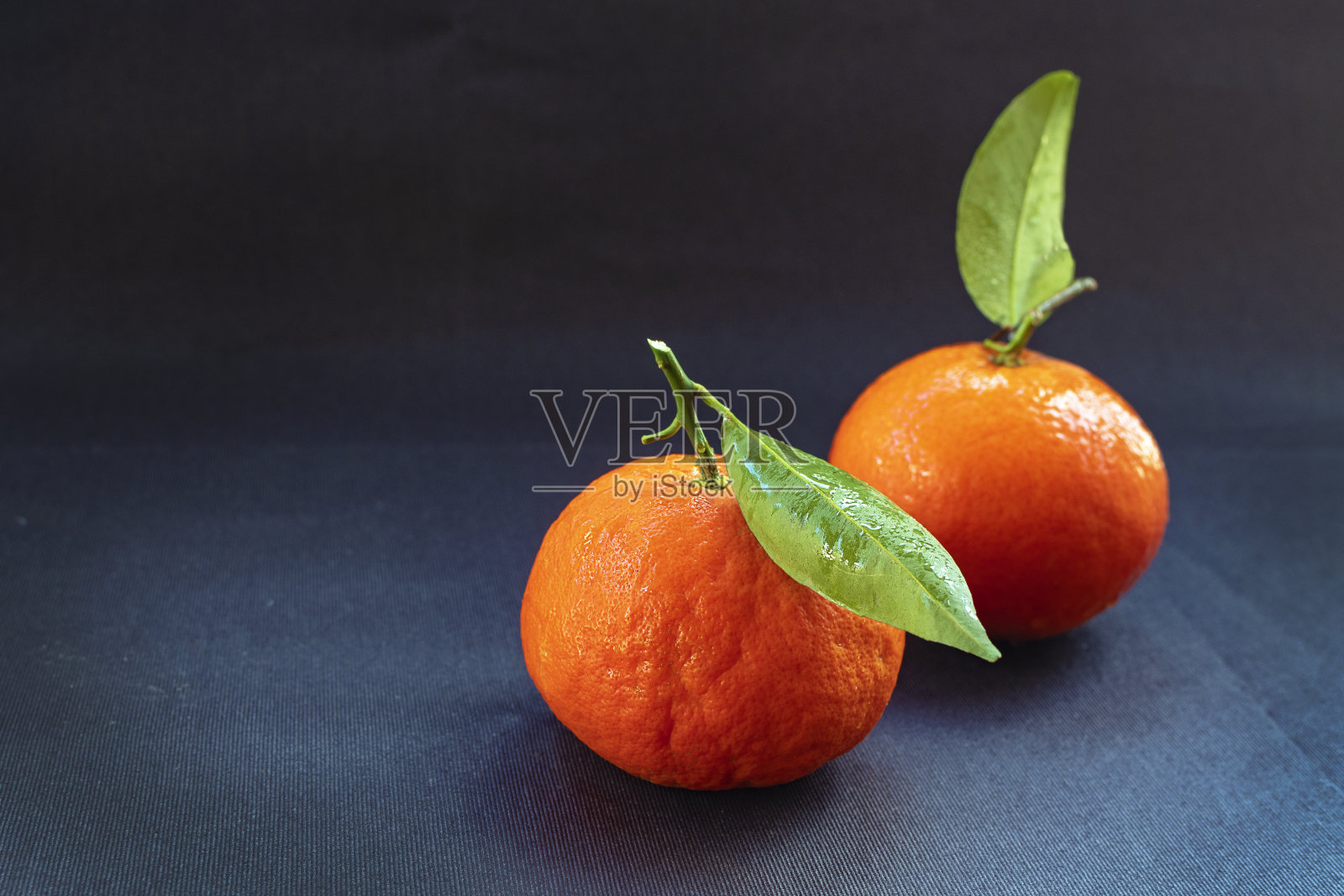 鲜绿叶子的柑橘照片摄影图片