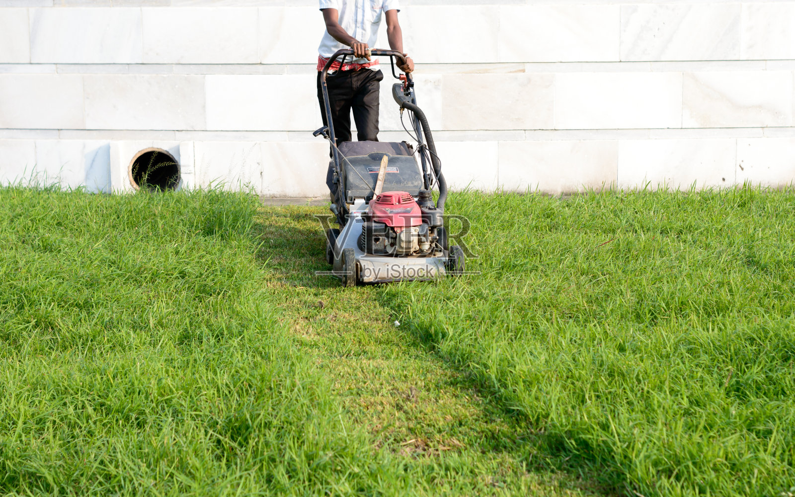 一种电动旋转割草机(也称为割草机，割草机或割草机)为mower，切割草坪区域。重型电动割草机，用于花园和公园中修剪草坪，将草坪割到一个均匀的高度。照片摄影图片