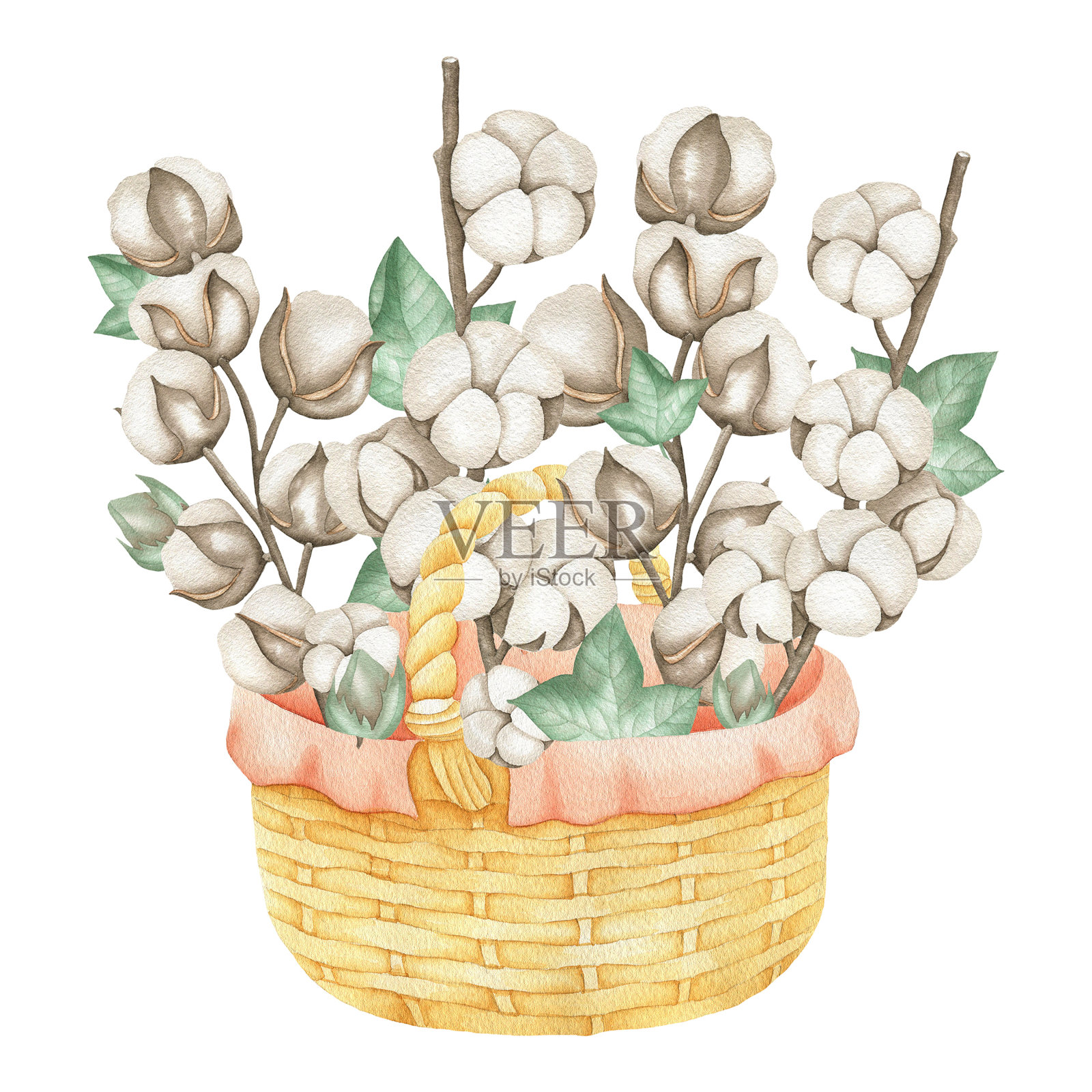 篮子与棉花和树叶。jpg插画图片素材