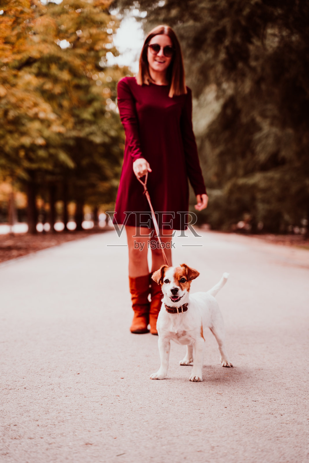 年轻女子和她可爱的杰克罗素狗在公园散步。爱动物的概念照片摄影图片
