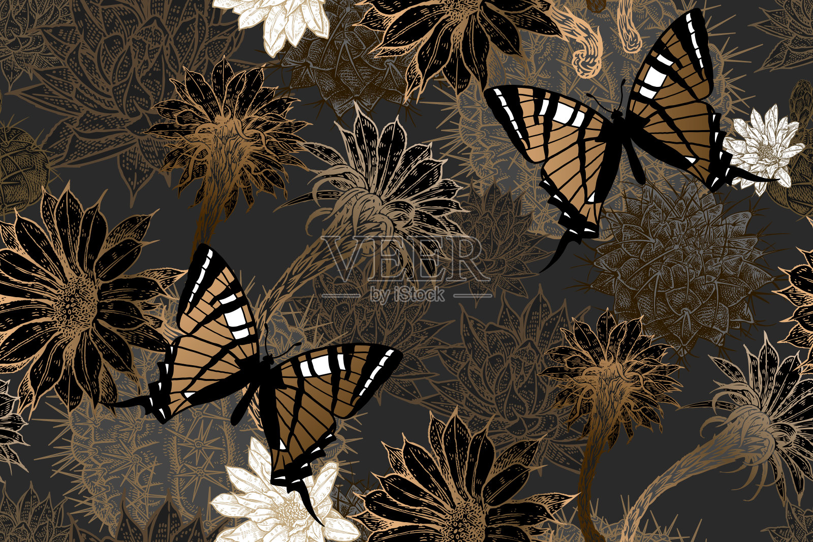 异国情调的无缝模式。开花的仙人掌和蝴蝶。金色，黑色和白色插画图片素材