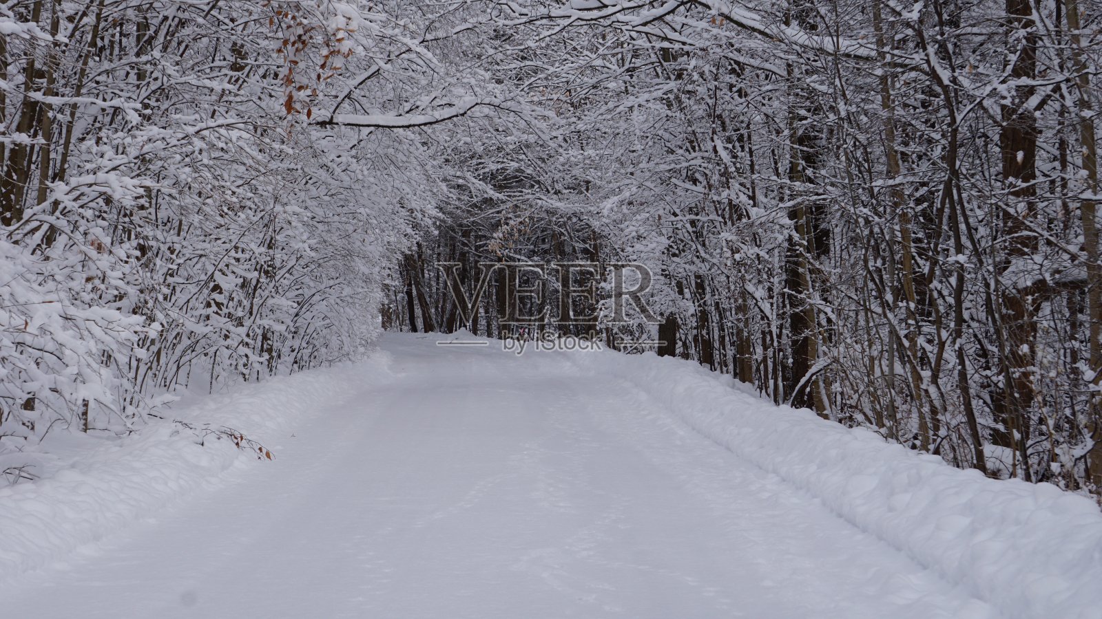 冬季仙境照片摄影图片