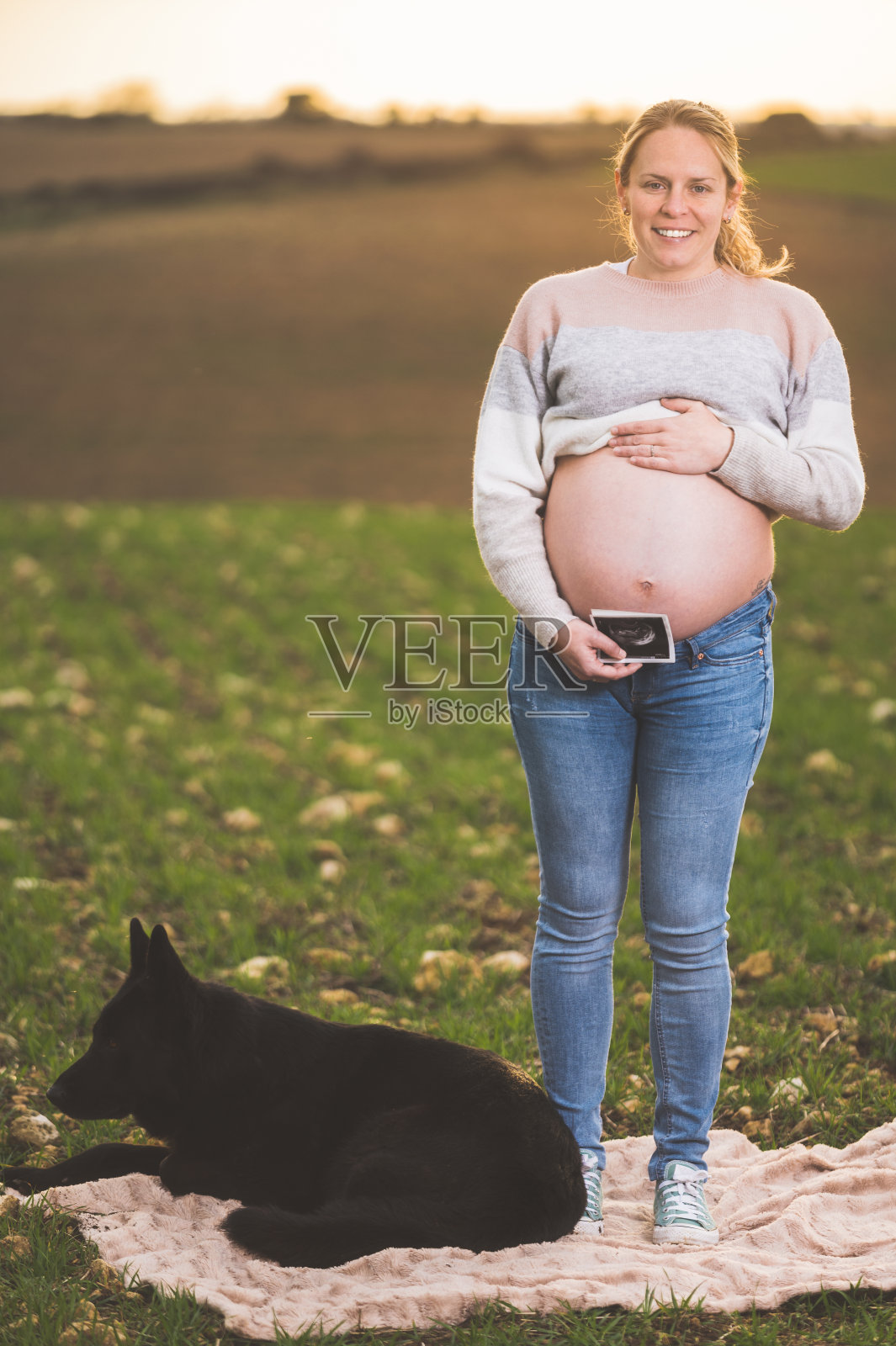 一个孕妇和她的狗在公园里玩。照片摄影图片