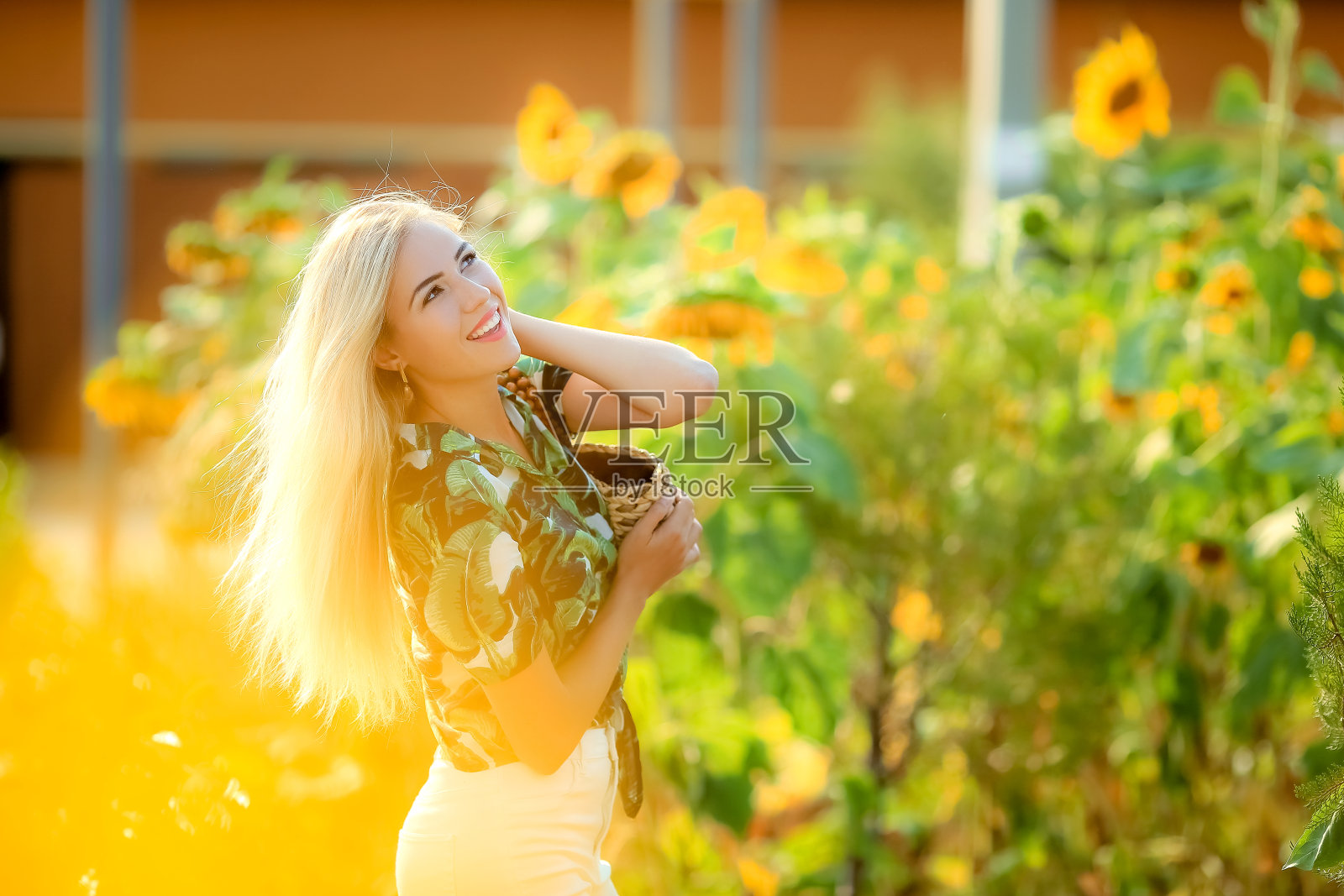 夏天的女人在向日葵地里照片摄影图片