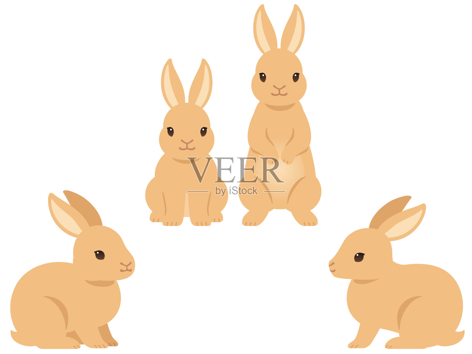 一套棕色兔子的插图设计元素图片