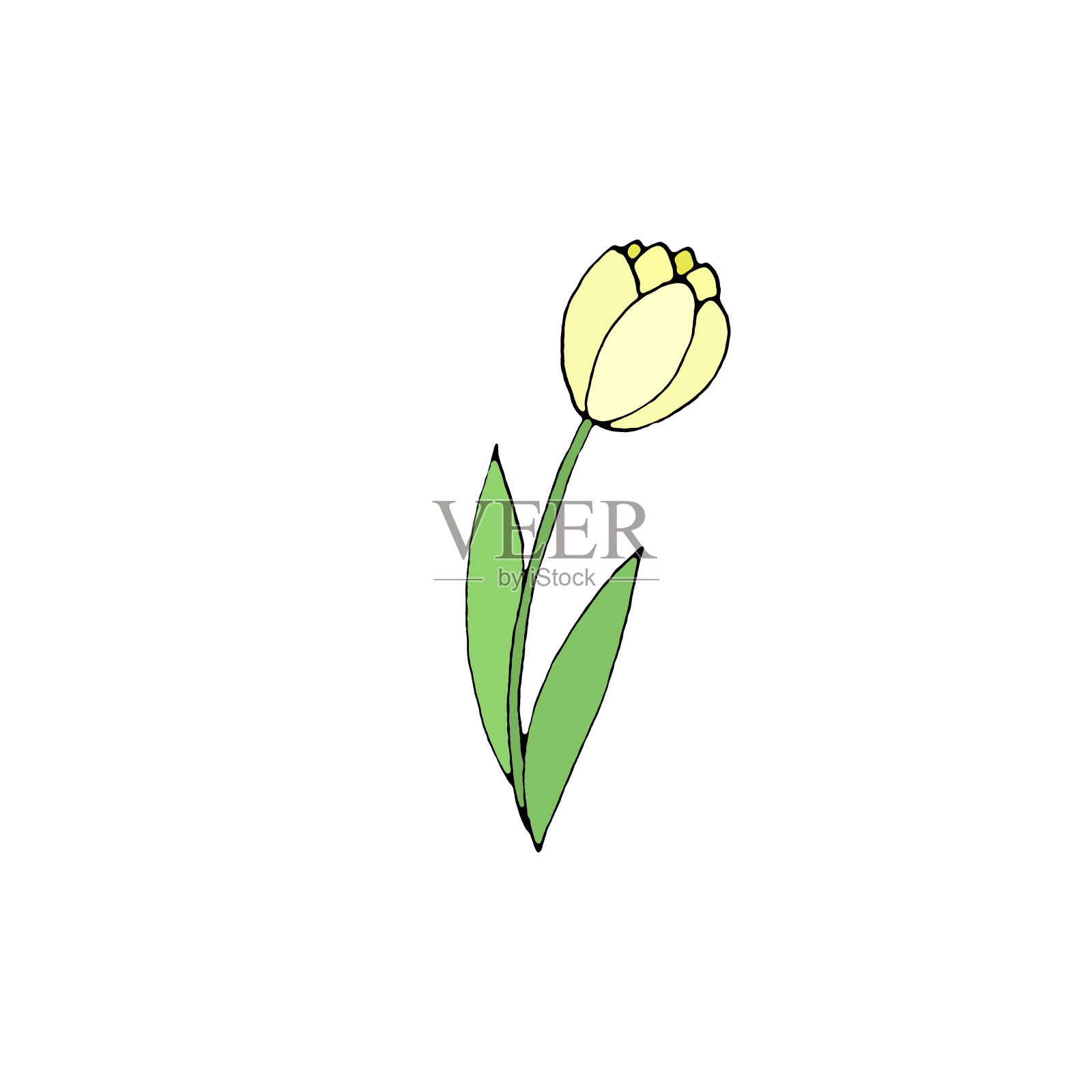 颜色郁金香花孤立在白色的背景。手绘设计元素。简单的素描风格涂鸦插图设计元素图片