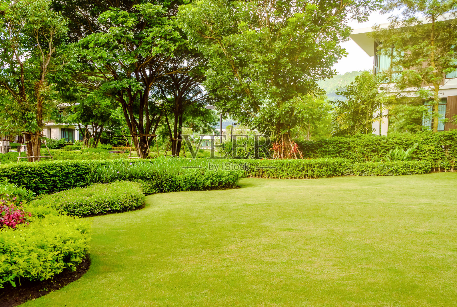 房子在公园里，绿色的草坪，前院是设计精美的花园照片摄影图片