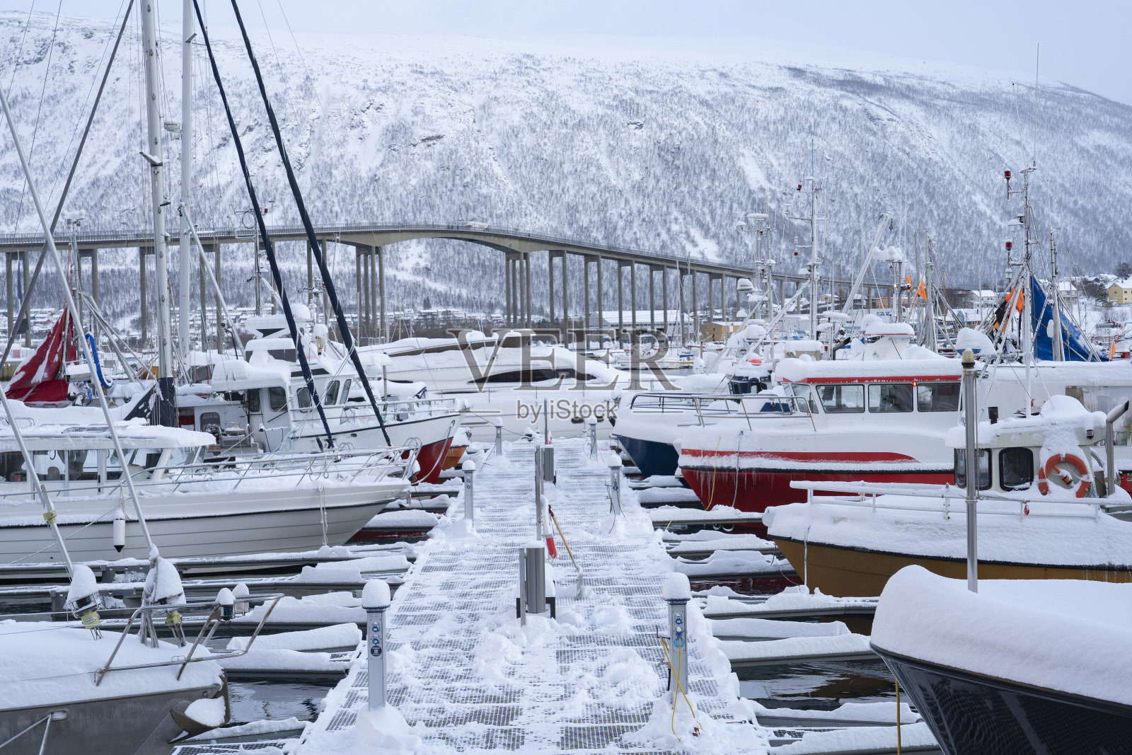 挪威北部特罗姆瑟市码头照片摄影图片