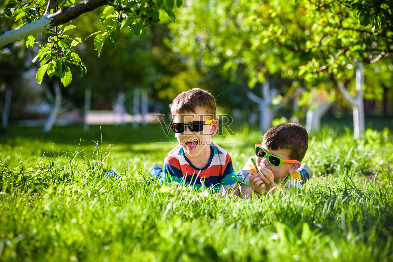 快乐微笑的男孩兄弟兄弟放松在草地上。近距离查看与复制空间。照片摄影图片