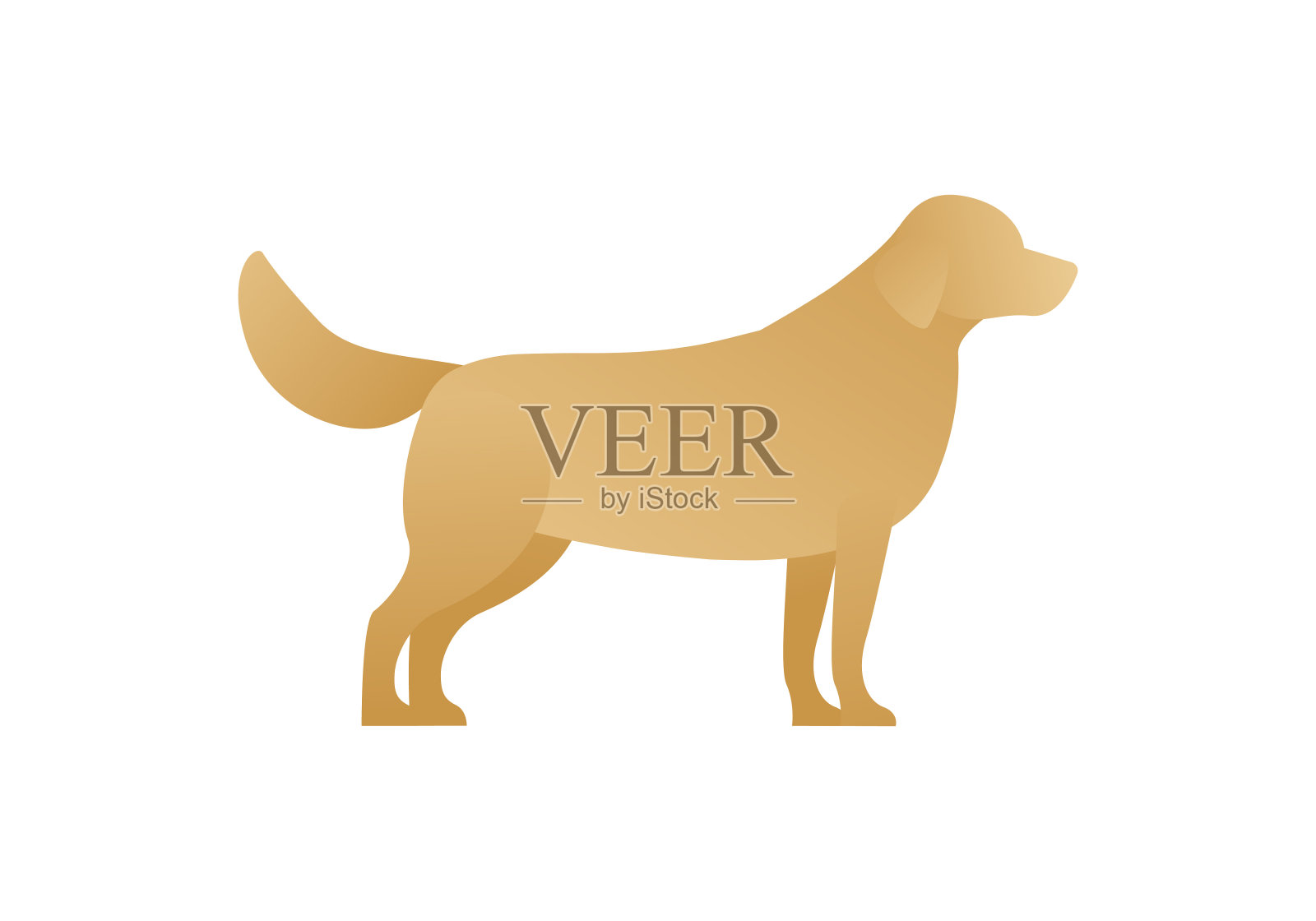 矢量平面动物狗插图。可爱的棕色梯度金毛猎犬孤立在白色的背景。设计元素。设计元素图片