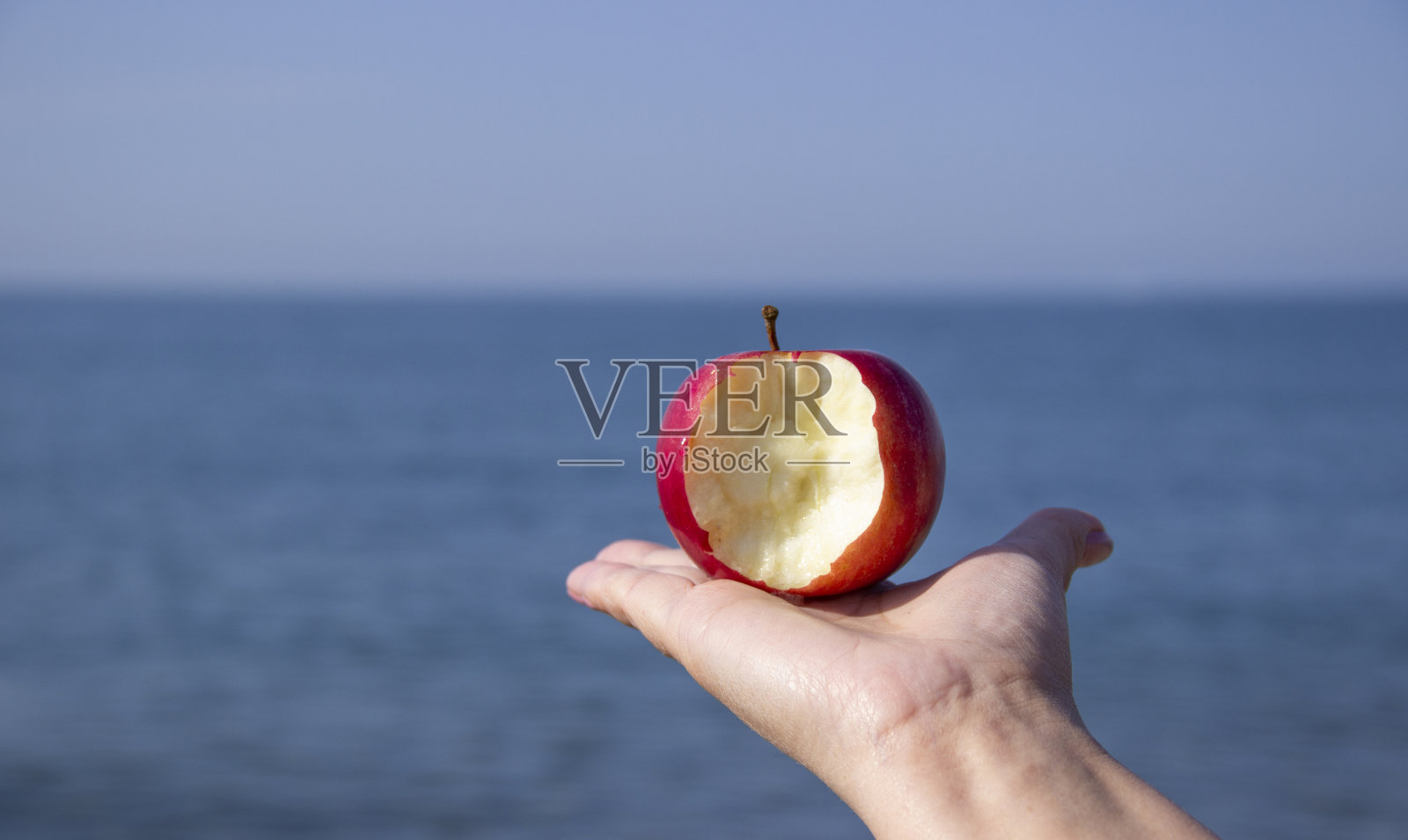 红咬苹果手捧着大海。生态旅游和天然有机水果消费。休闲与生态的概念和谐。饮食主要以植物性食物为主。照片摄影图片