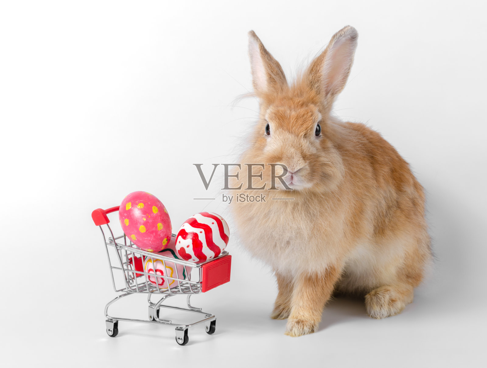 白色背景的购物车里放着复活节彩蛋的棕色兔子照片摄影图片