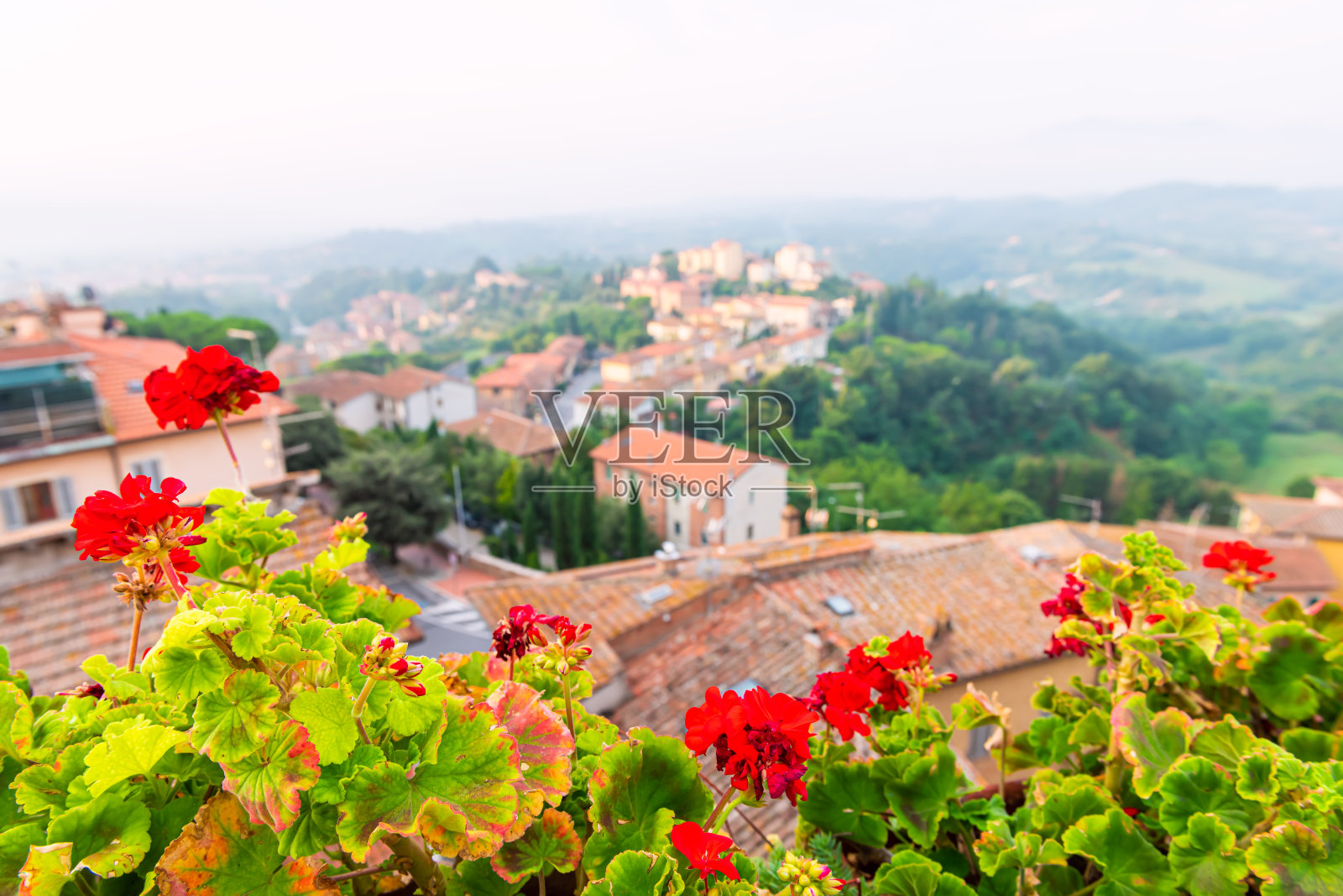 Chiusi Scalo房屋在托斯卡纳，意大利城镇城市景观和红色天竺葵花在花园前景的建筑露台景观视图照片摄影图片