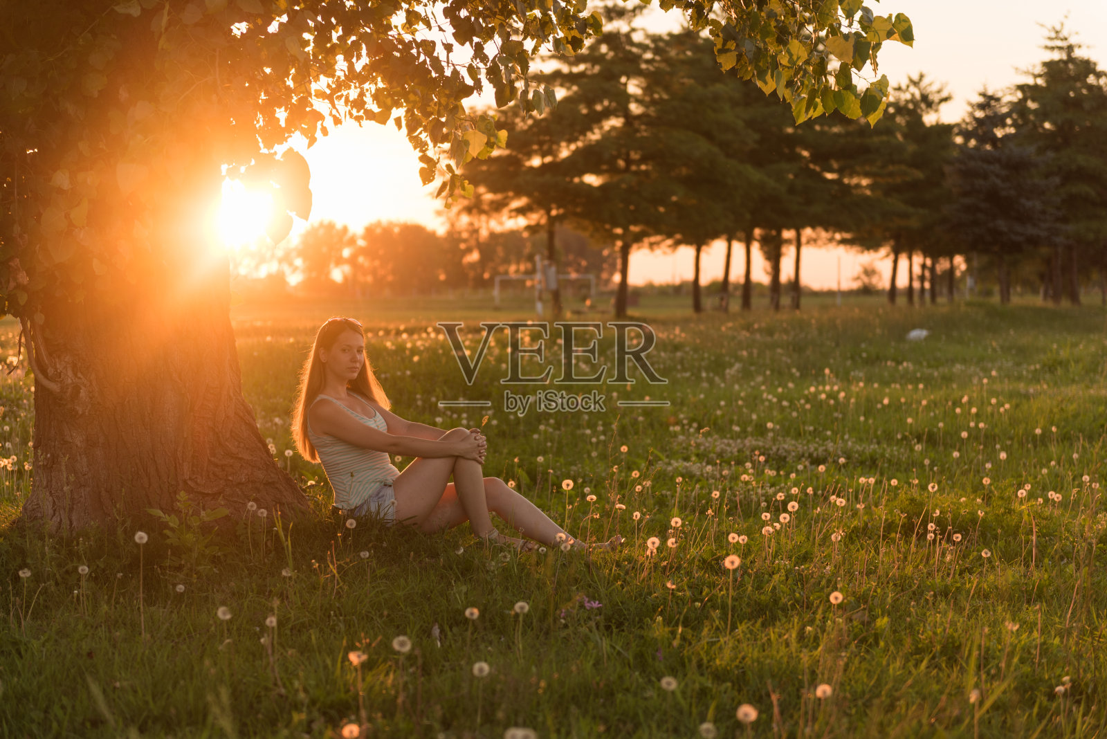 年轻女子在阳光下的树下的草地上休息照片摄影图片