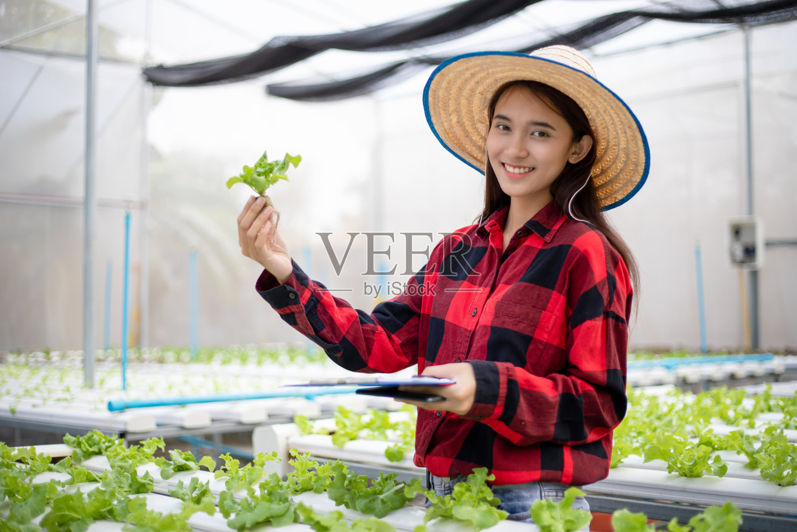 亚洲妇女农民，用平板电脑和笔记本电脑检查用水培法种植的有机蔬菜的质量。照片摄影图片