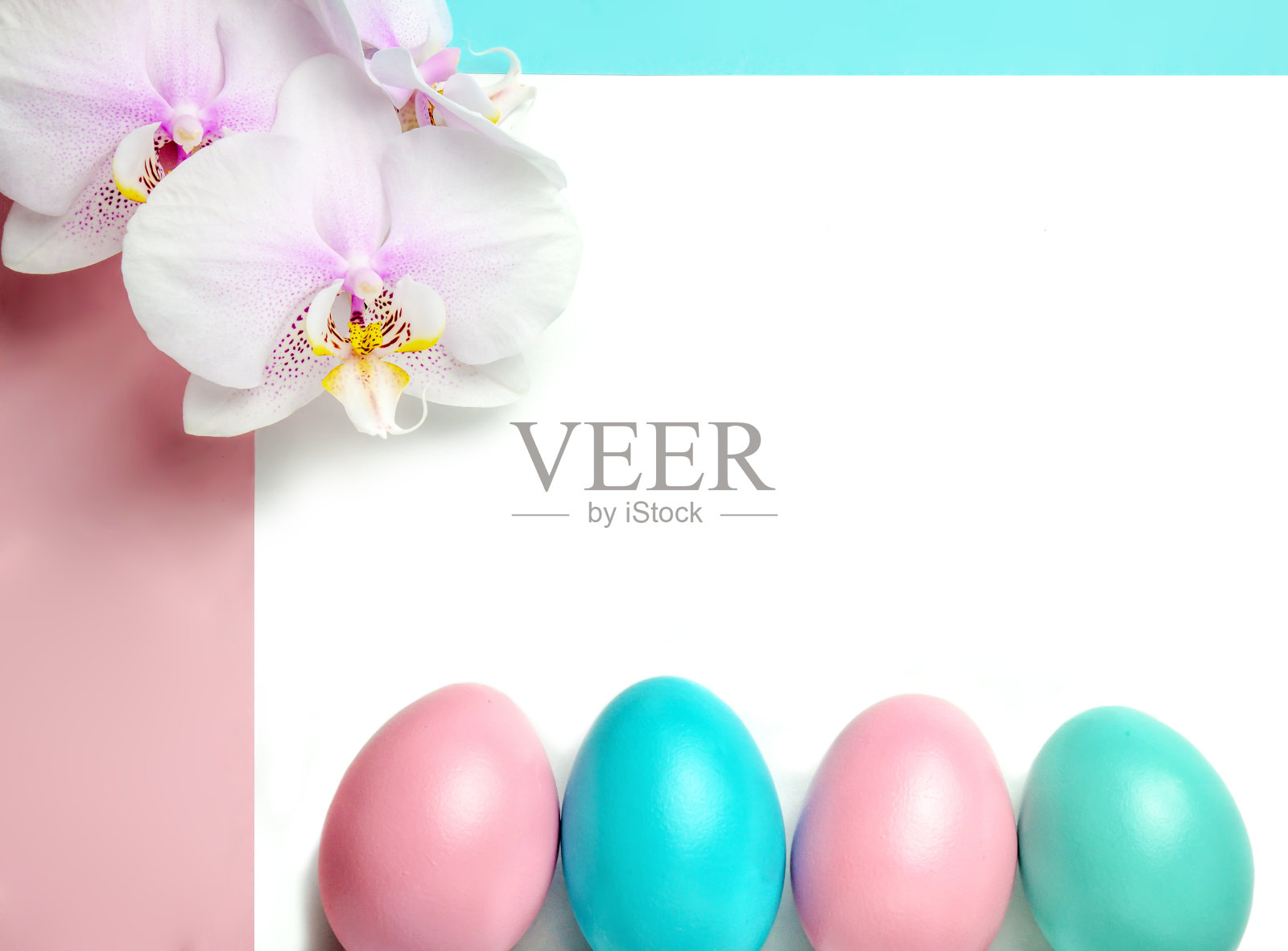 粉蓝色复活节彩蛋在粉彩背景与文字和兰花的空间照片摄影图片