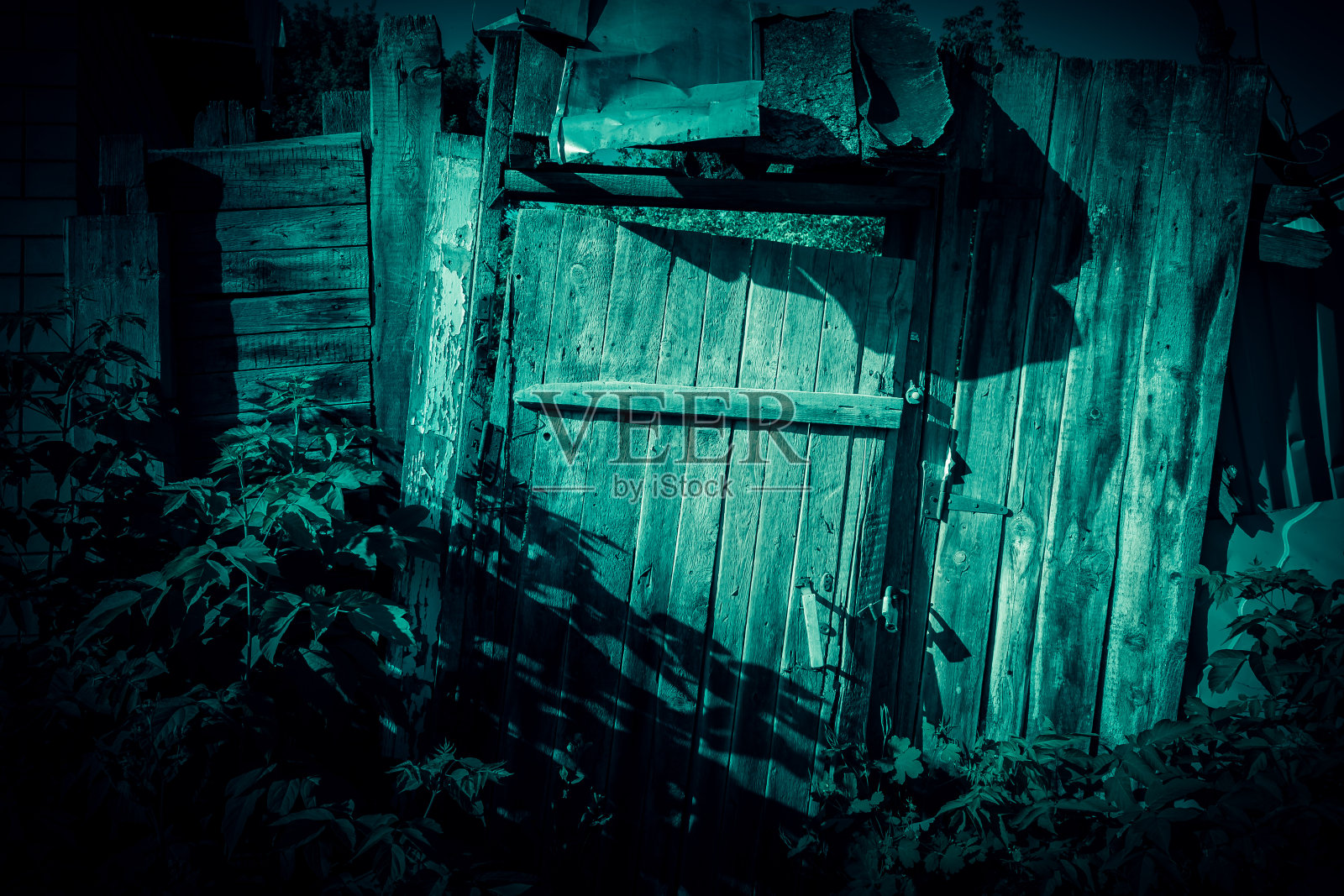 背景恐怖，可怕，黑暗。一扇阴森可怖的门和一道篱笆，一扇带锁的黑色木门，地下室的入口，在神秘的月光下，有着诡异的影子照片摄影图片