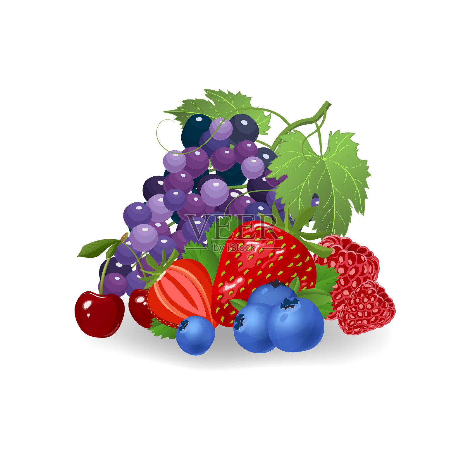 新鲜浆果矢量插图。健康饮食的概念。有机浆果。设计元素图片