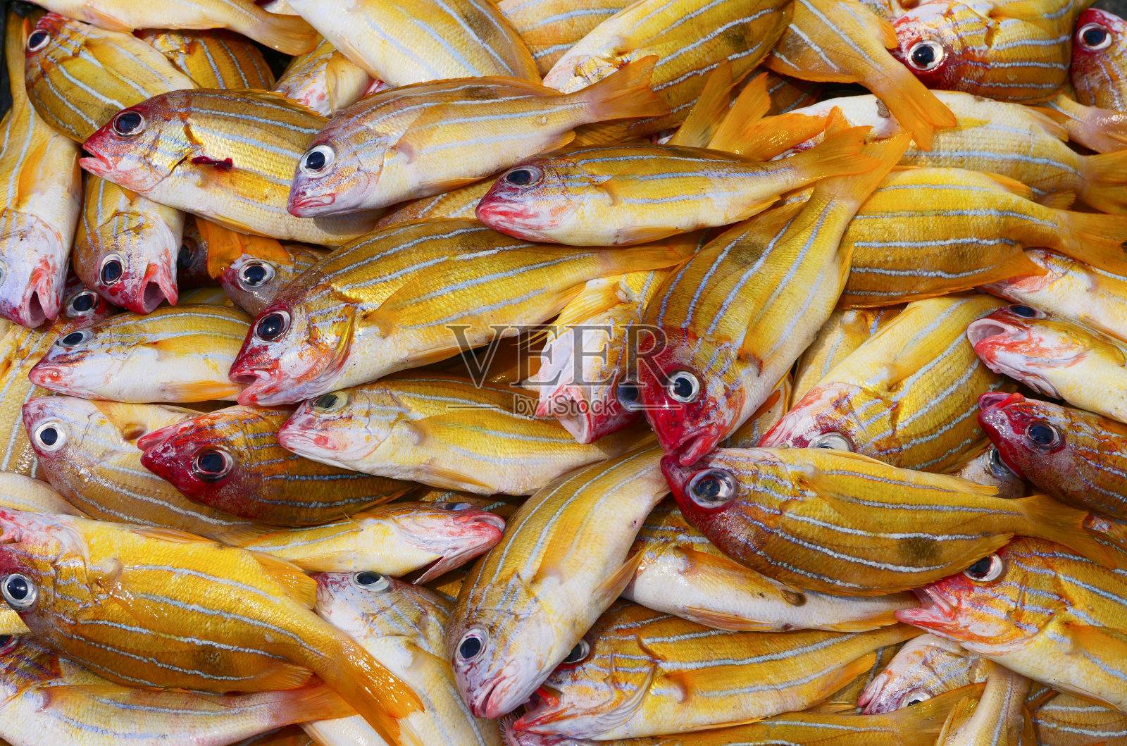 鲜鱼市场上陈列着五颜六色的鲜鱼照片摄影图片