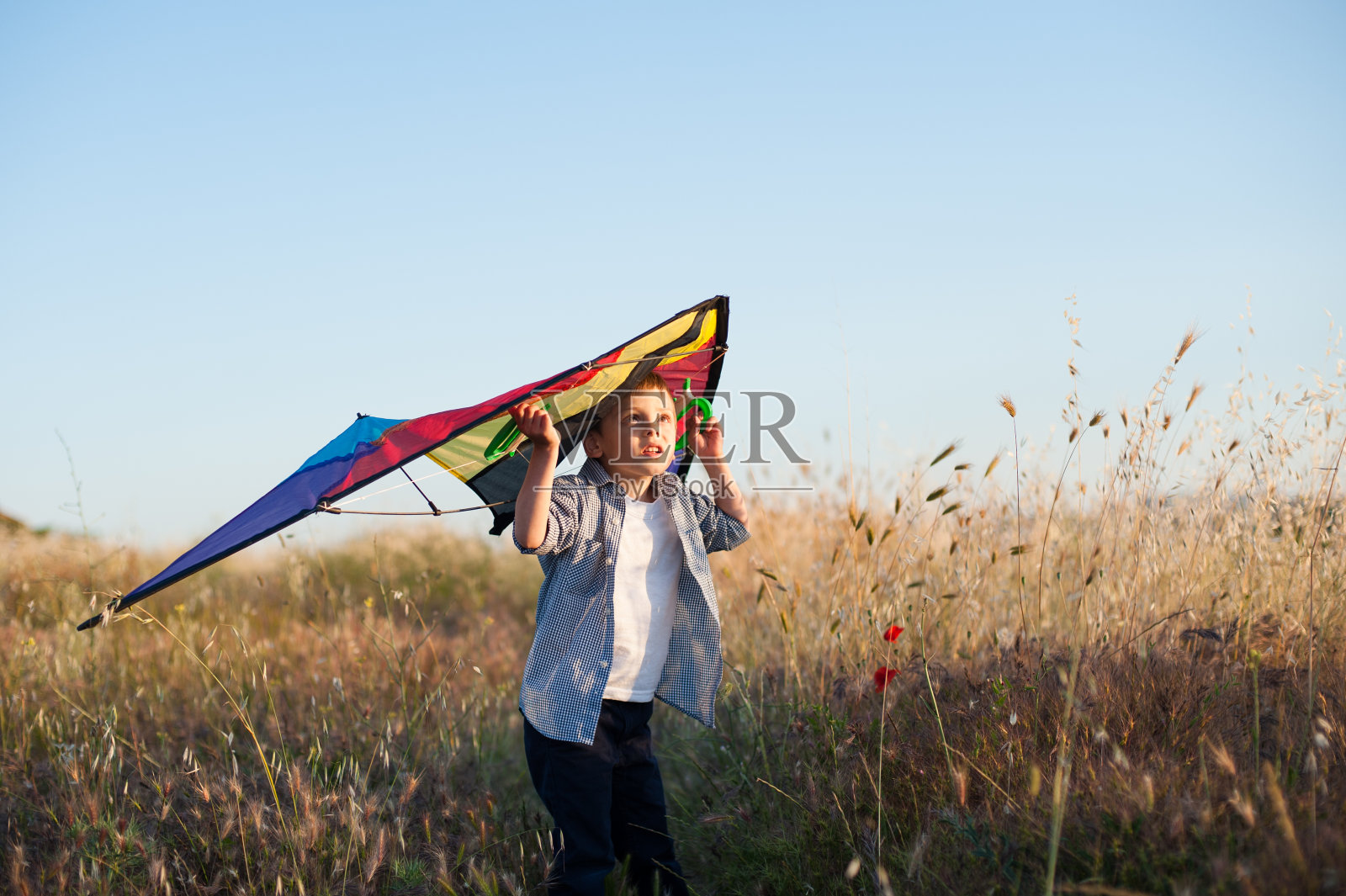 焦虑的白人小男孩拿着风筝在干燥的黄色夏季田野上仰望蓝天照片摄影图片