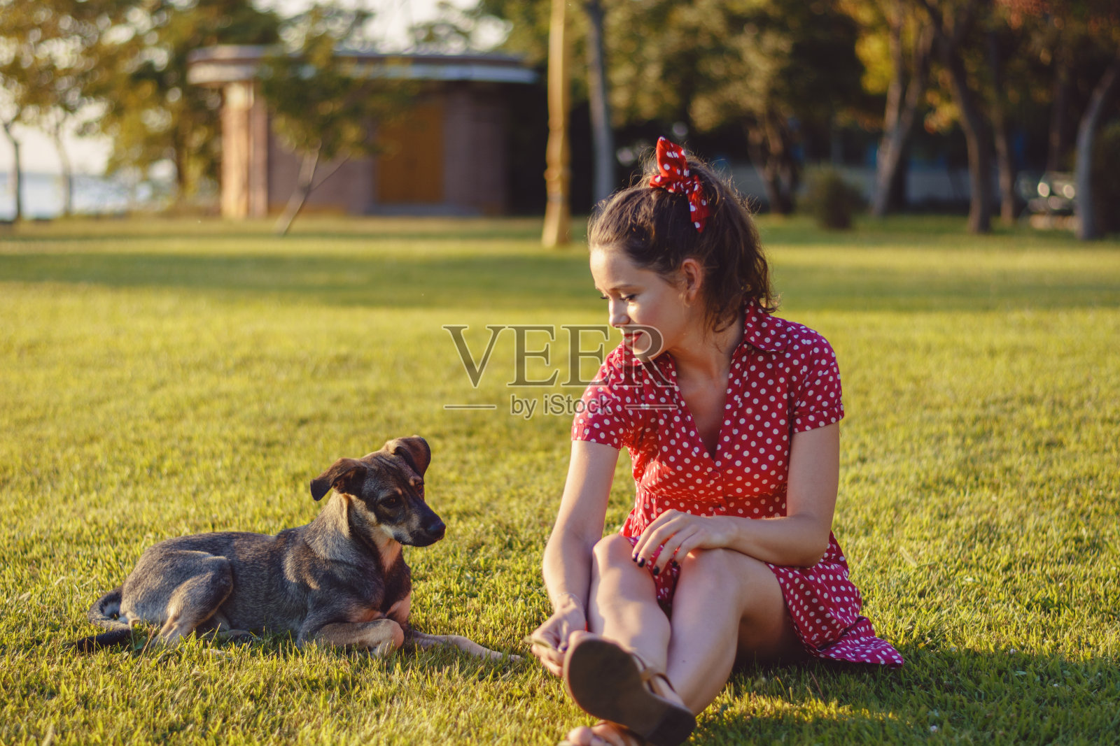 一个女人和她的狗坐在草地上照片摄影图片