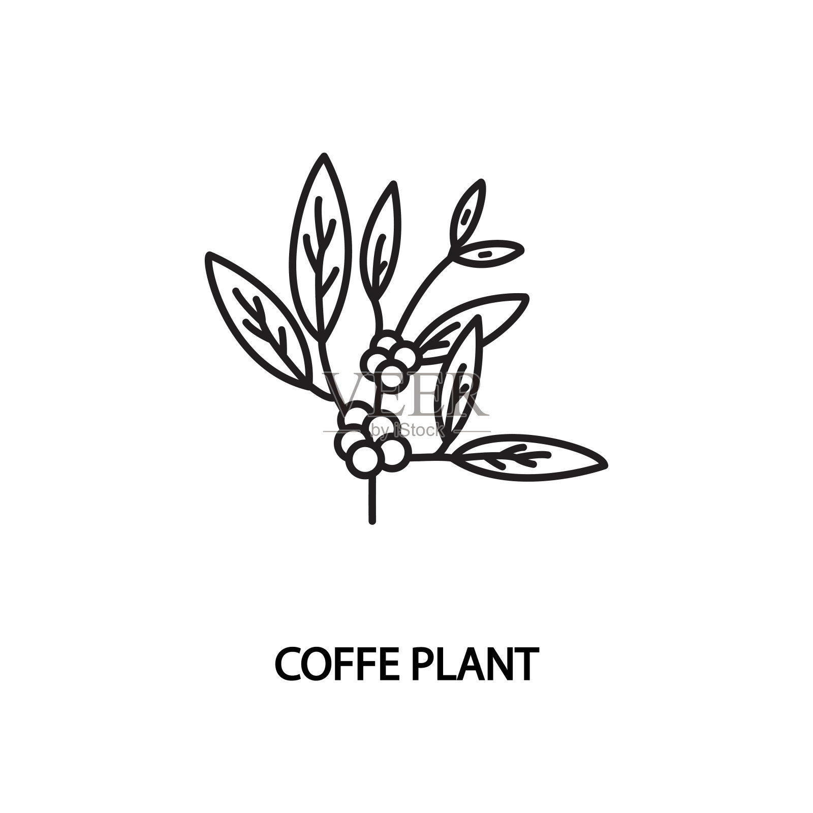 咖啡植物直线矢量图标。概念网上商店或网络横幅和印刷材料。可编辑的中风。设计元素图片