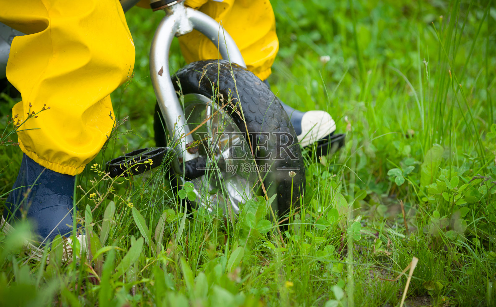 蹒跚学步的孩子脚在橡胶靴和裤子骑自行车在绿色草地上的特写。雨后男孩在户外散步。照片摄影图片