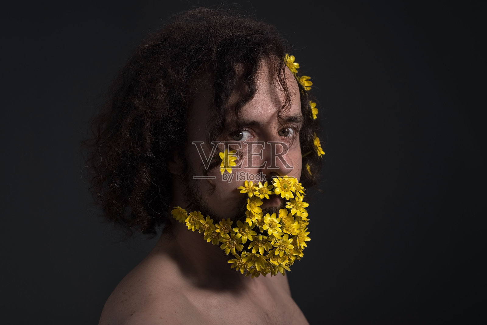 画室戏剧性地描绘了一个三十岁的年轻人，黄花编织成卷曲的头发和长长的胡子。春天的概念花在胡子。在黑暗的背景上。鲜花和春天。照片摄影图片