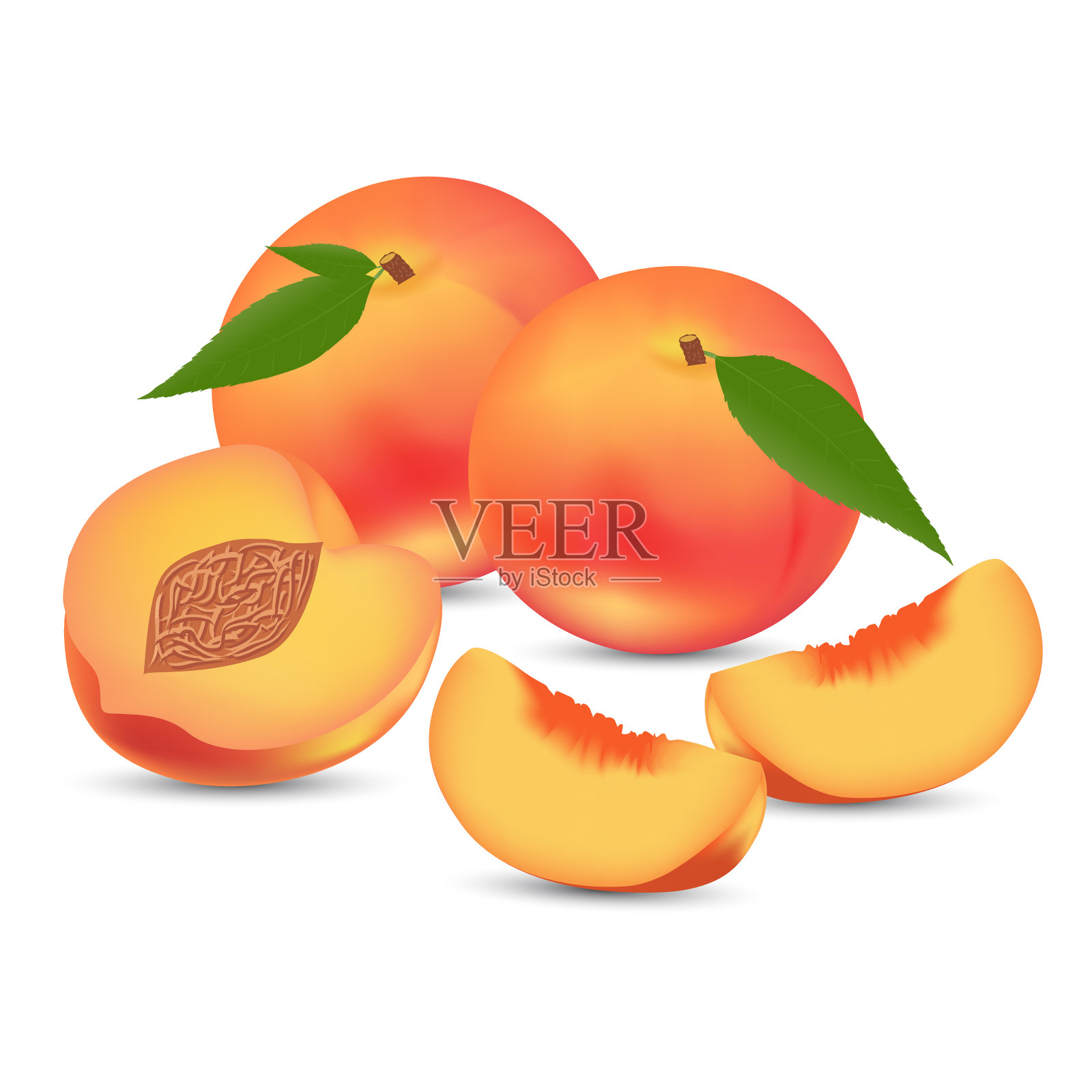 矢量插图的整个桃子和切片上的白色背景插画图片素材