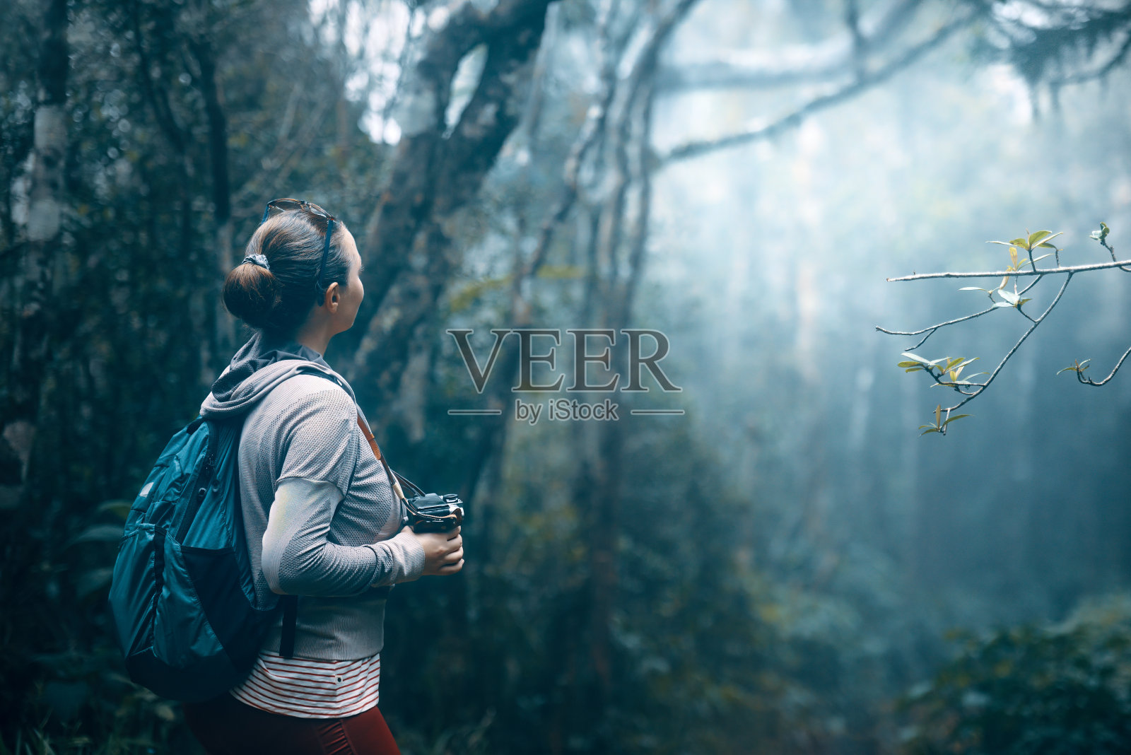 一名女子背着背包，带着相机在清晨的雾中观察雨林。照片摄影图片