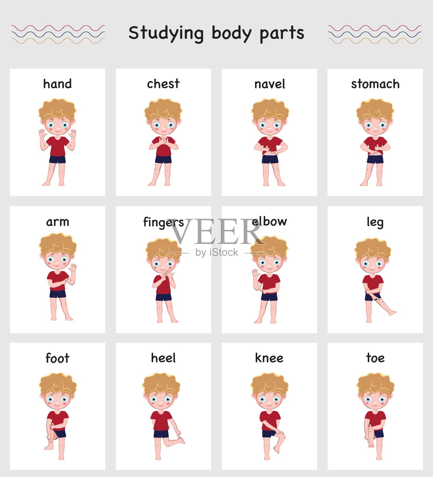 一套插图“男孩用英语命名身体部位”。幼儿园和学前班海报插画图片素材