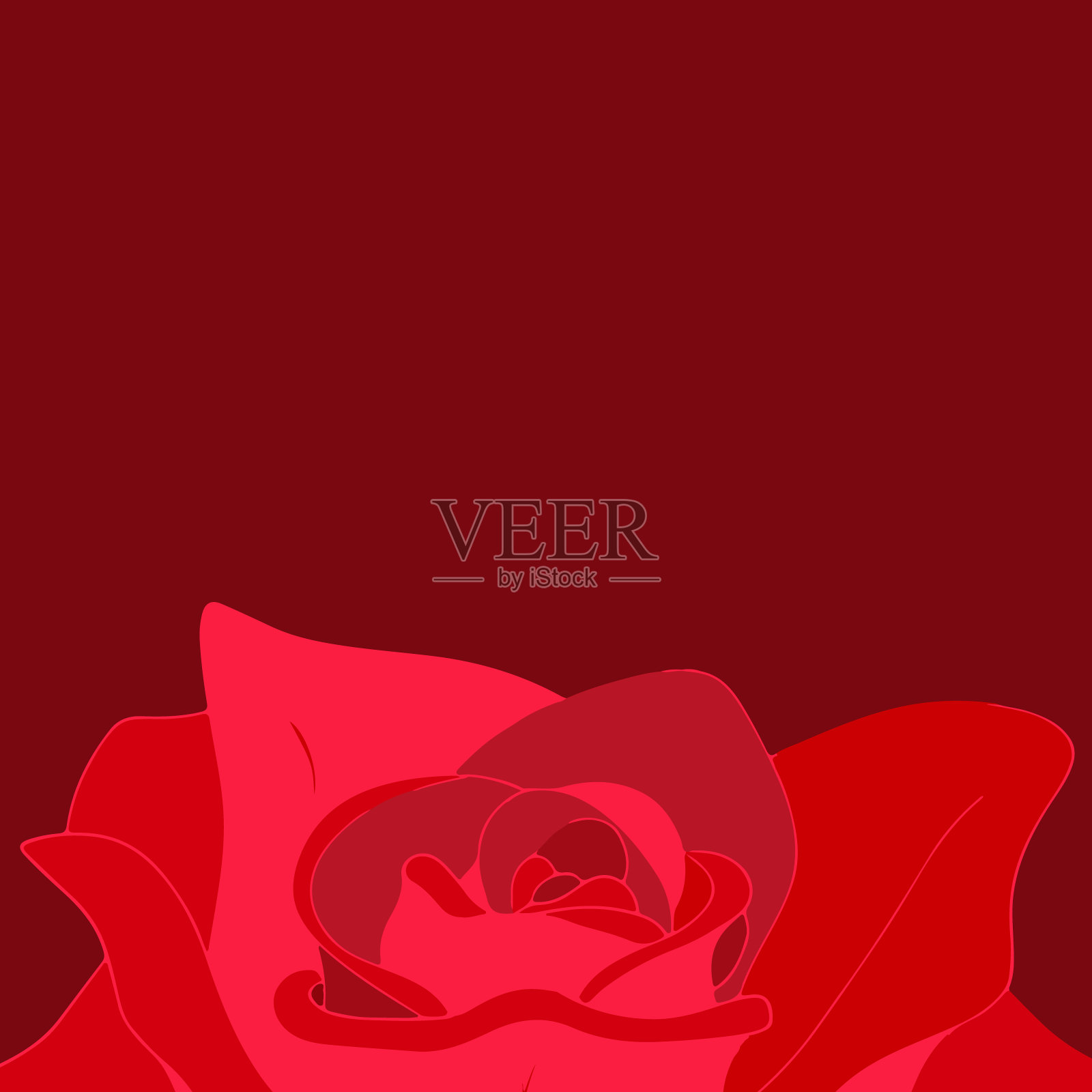 酒红色背景下的红玫瑰花蕾。插画图片素材