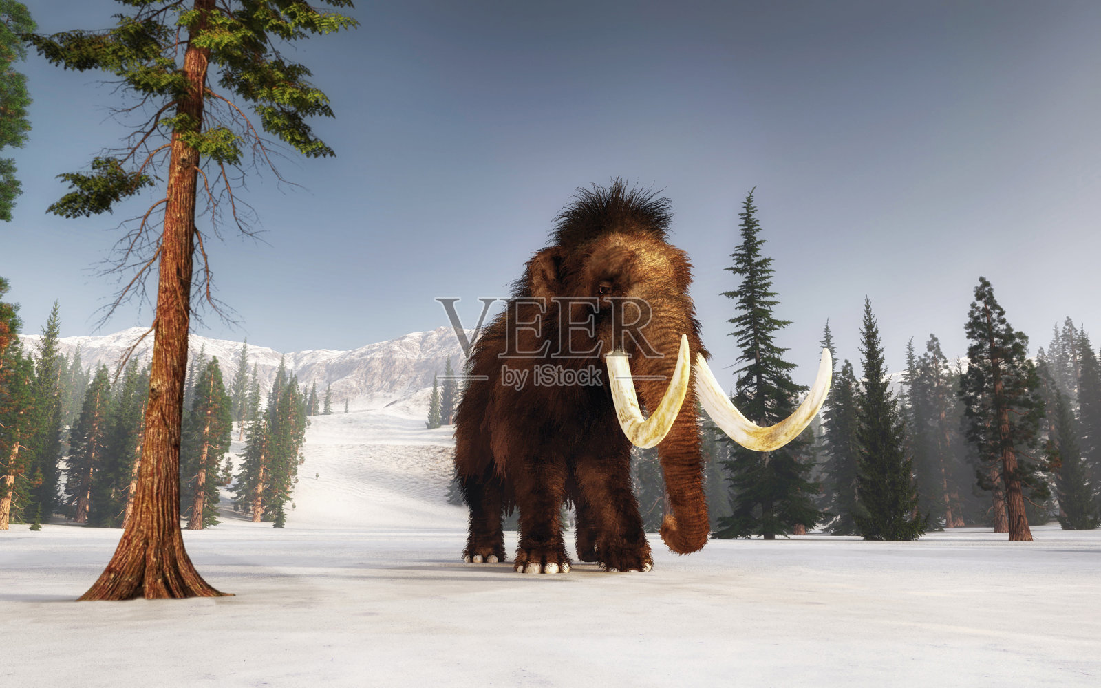 猛犸象在白雪覆盖的山上行走。山的环境。这是一个3d渲染图。照片摄影图片
