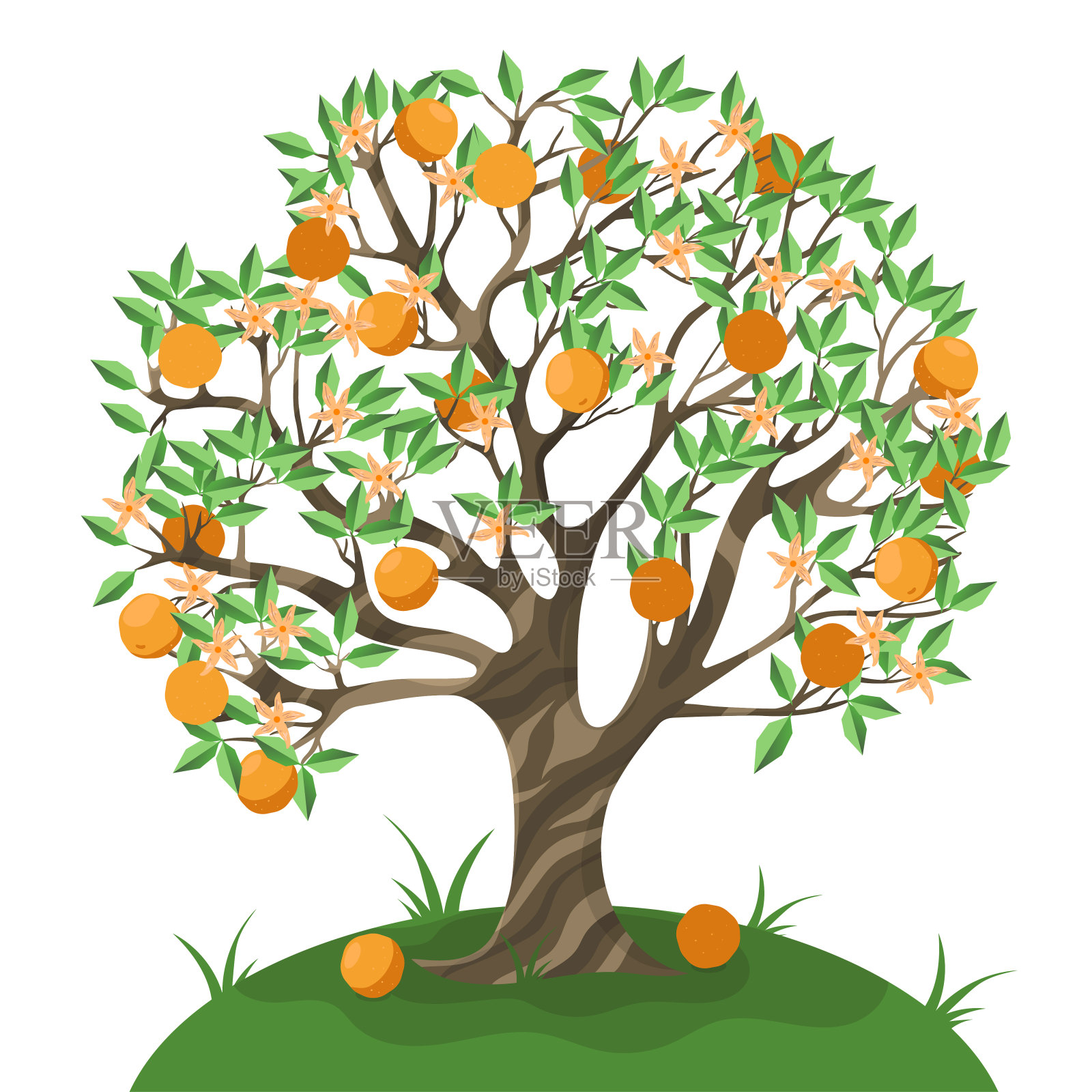 橙色树孤立在白色的背景。矢量图形。设计元素图片