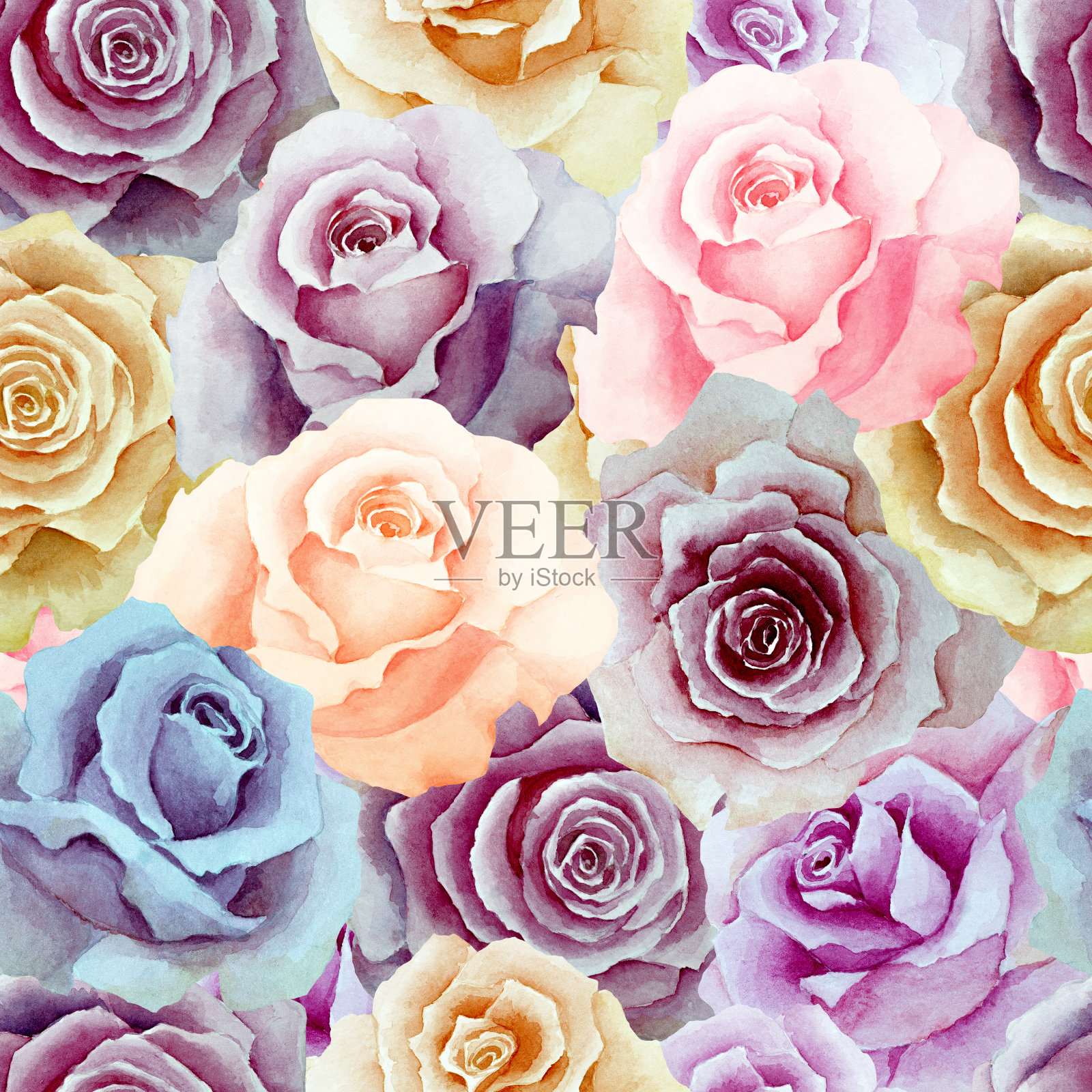 无缝图案的五彩玫瑰，背景。手画水彩。插画图片素材
