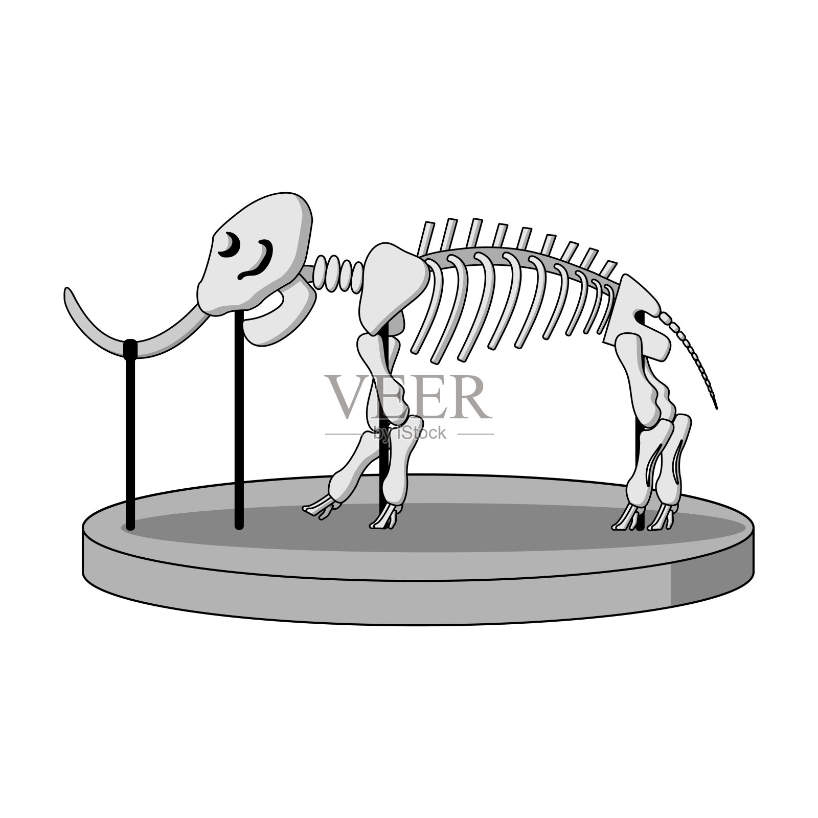 史前博物馆古生物学上猛犸象的卡通骨架。白色背景孤立矢量插图设计元素图片