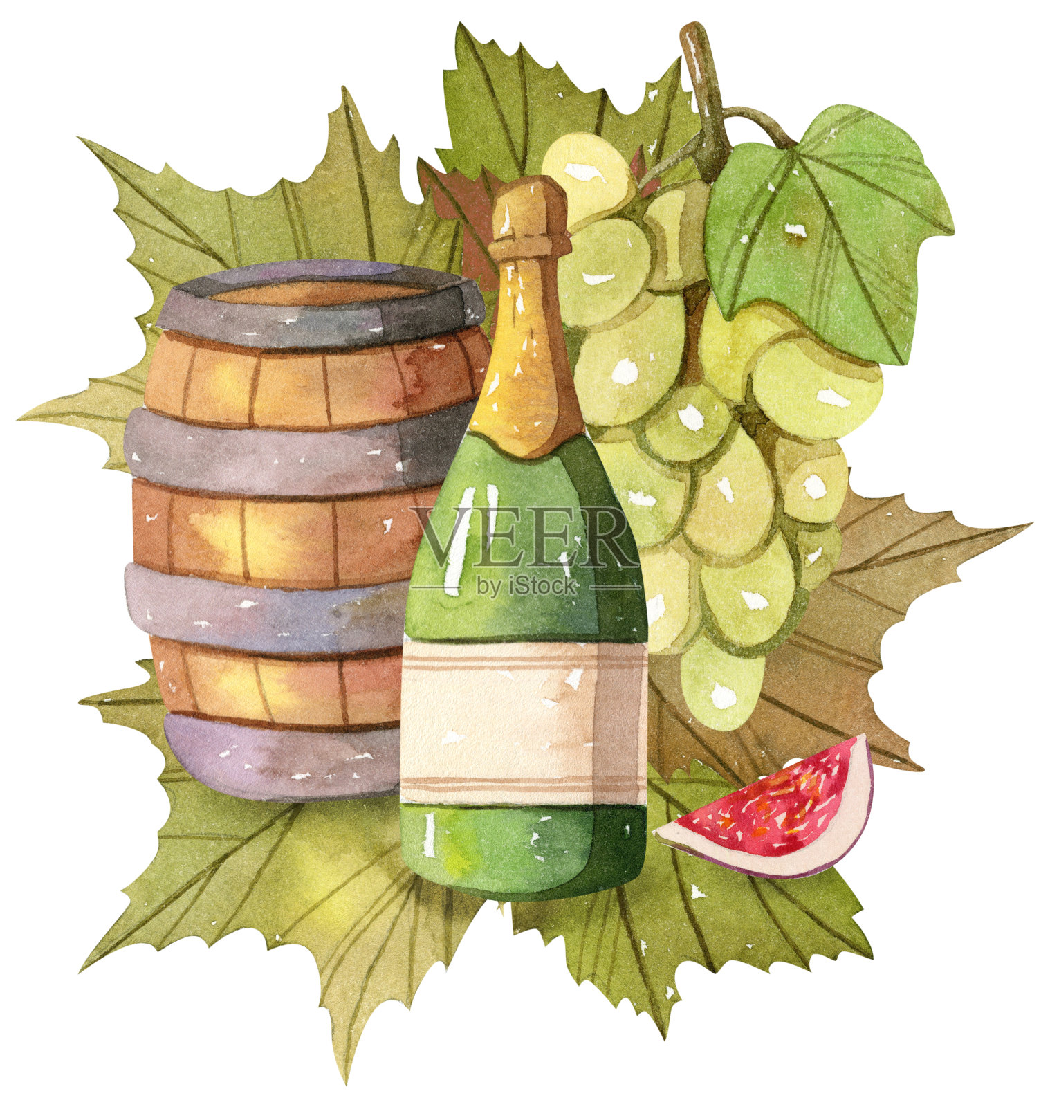 水彩组合-一瓶香槟-葡萄酒插画图片素材