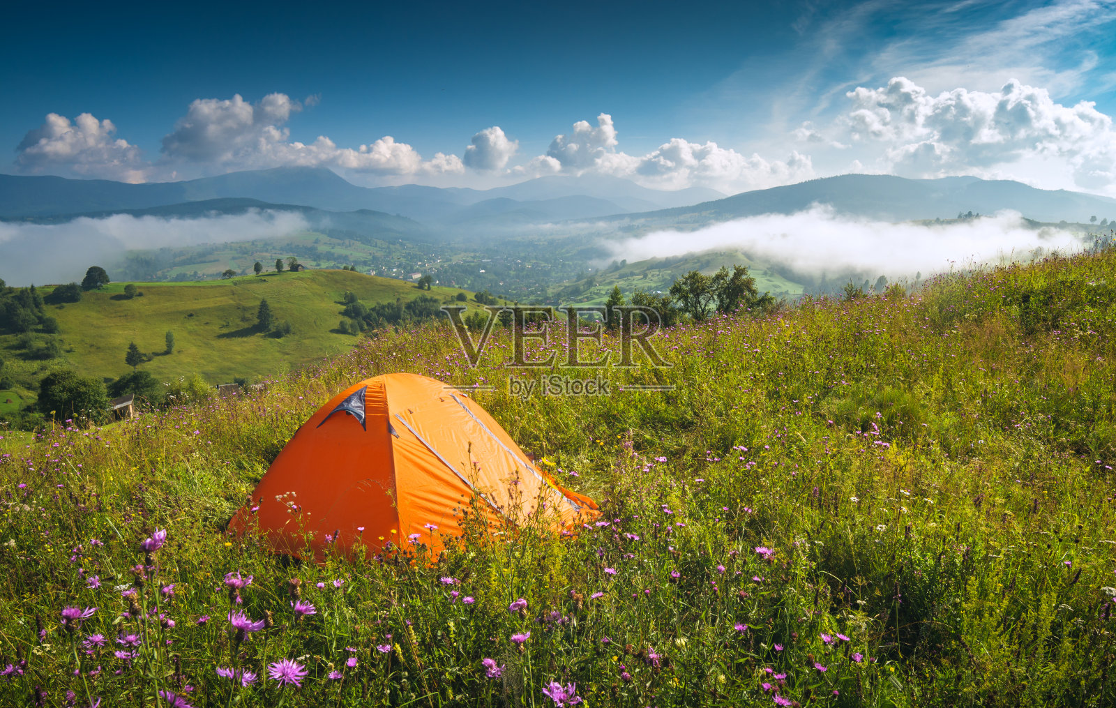 橙色的露营帐篷在夏天的草地上照片摄影图片