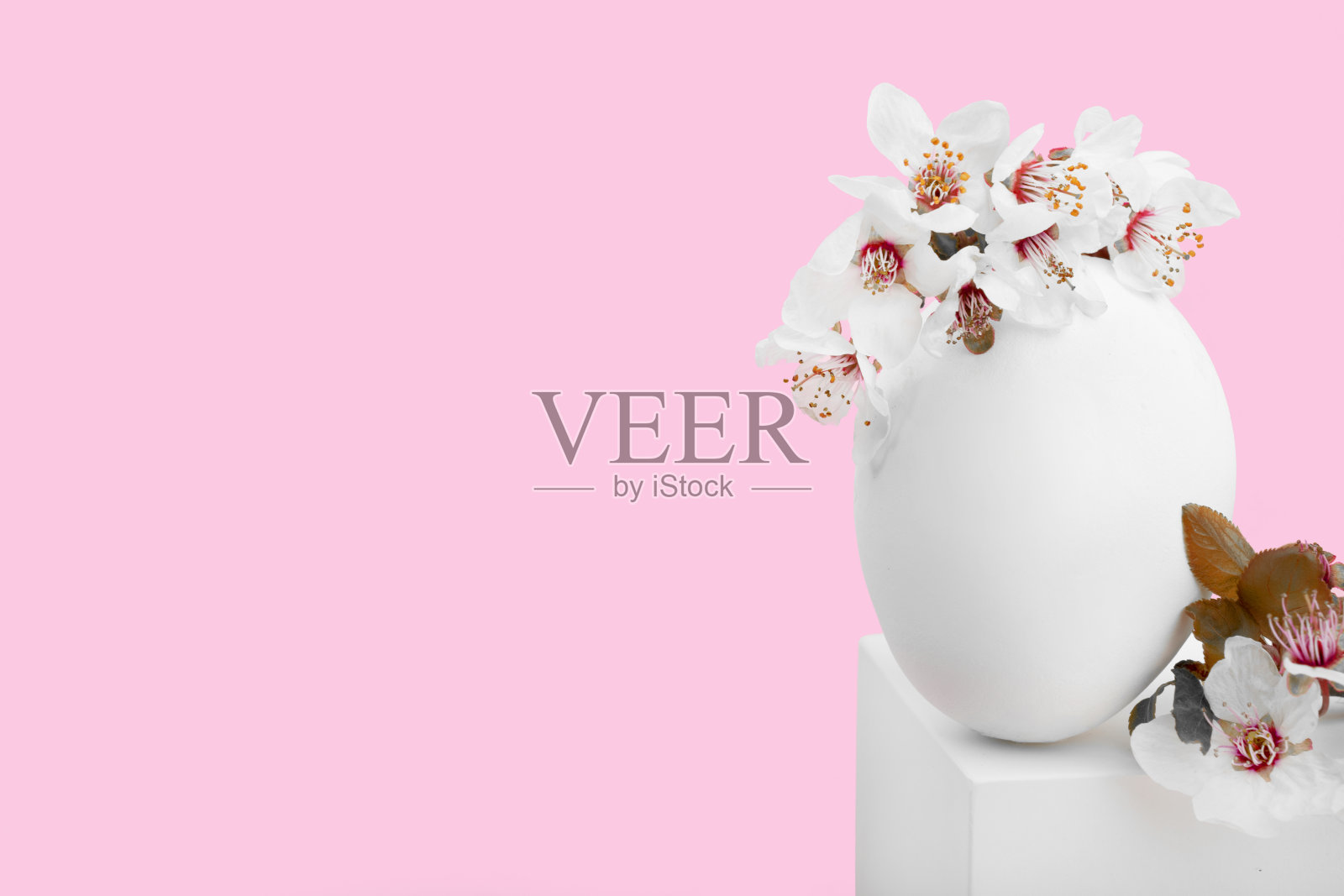复活节作品，白色的鸡蛋与樱花和白色的几何形状照片摄影图片