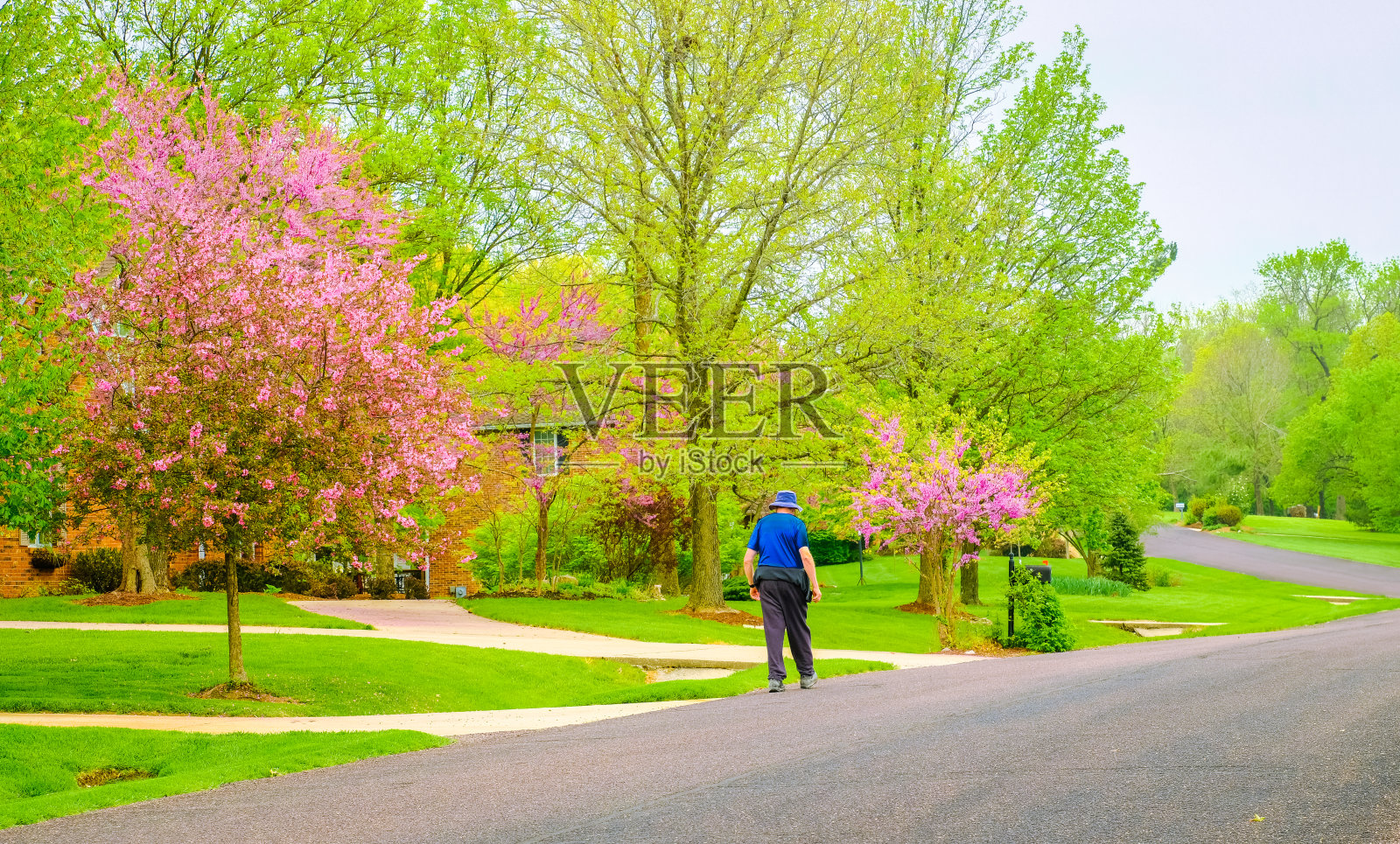 一个老人走在中西部郊区的春天街道上照片摄影图片