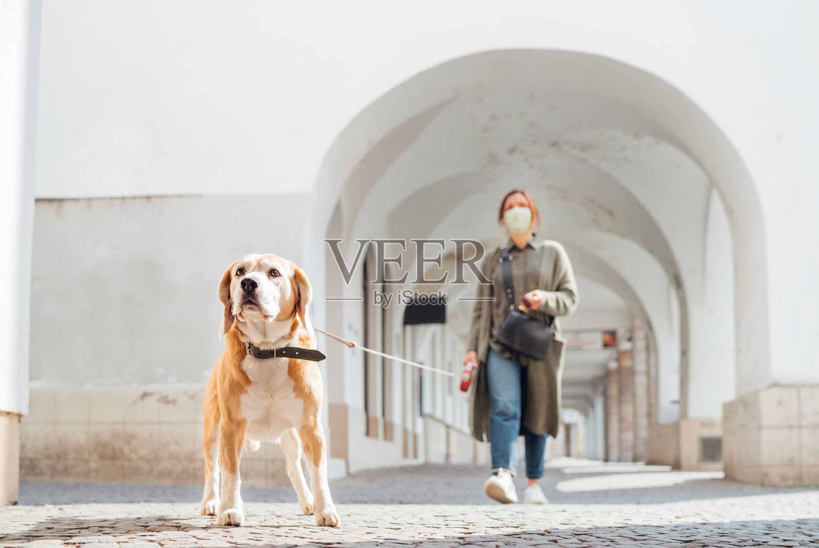 年轻女性穿着奇装异服，带着她的小猎犬在废弃的旧欧洲广场和街道上散步，以防止冠状病毒传播。全球COVID-19大流行概念形象。照片摄影图片