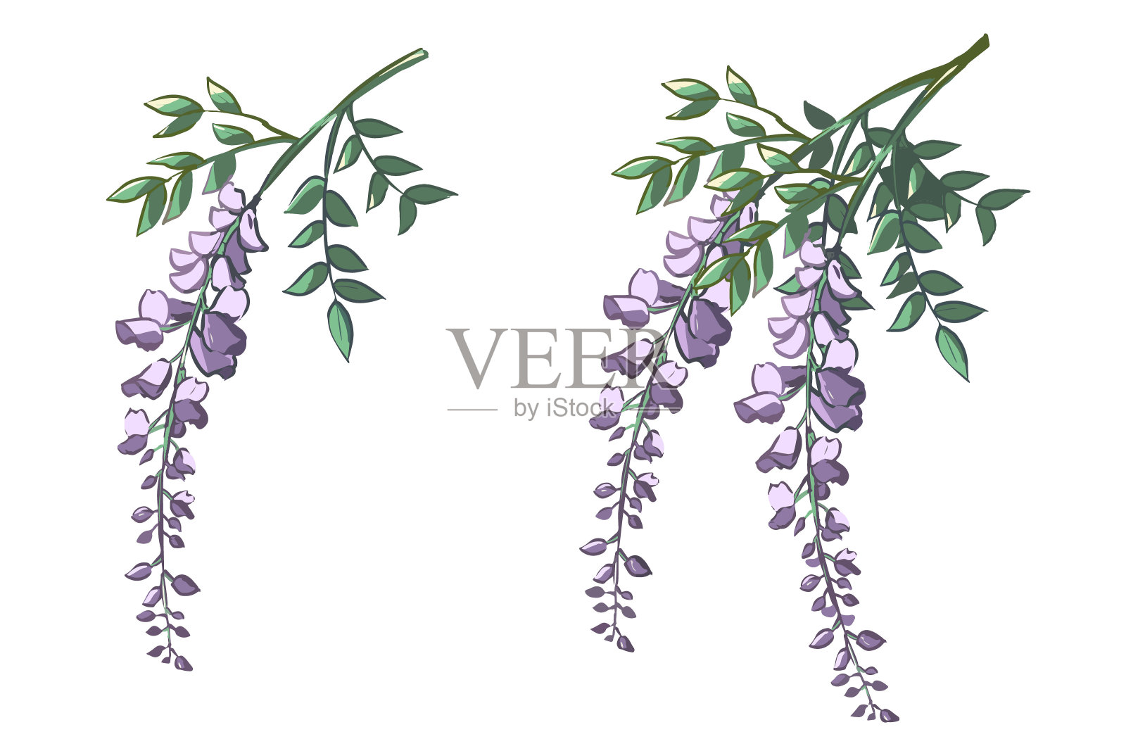 紫藤花设计元素图片