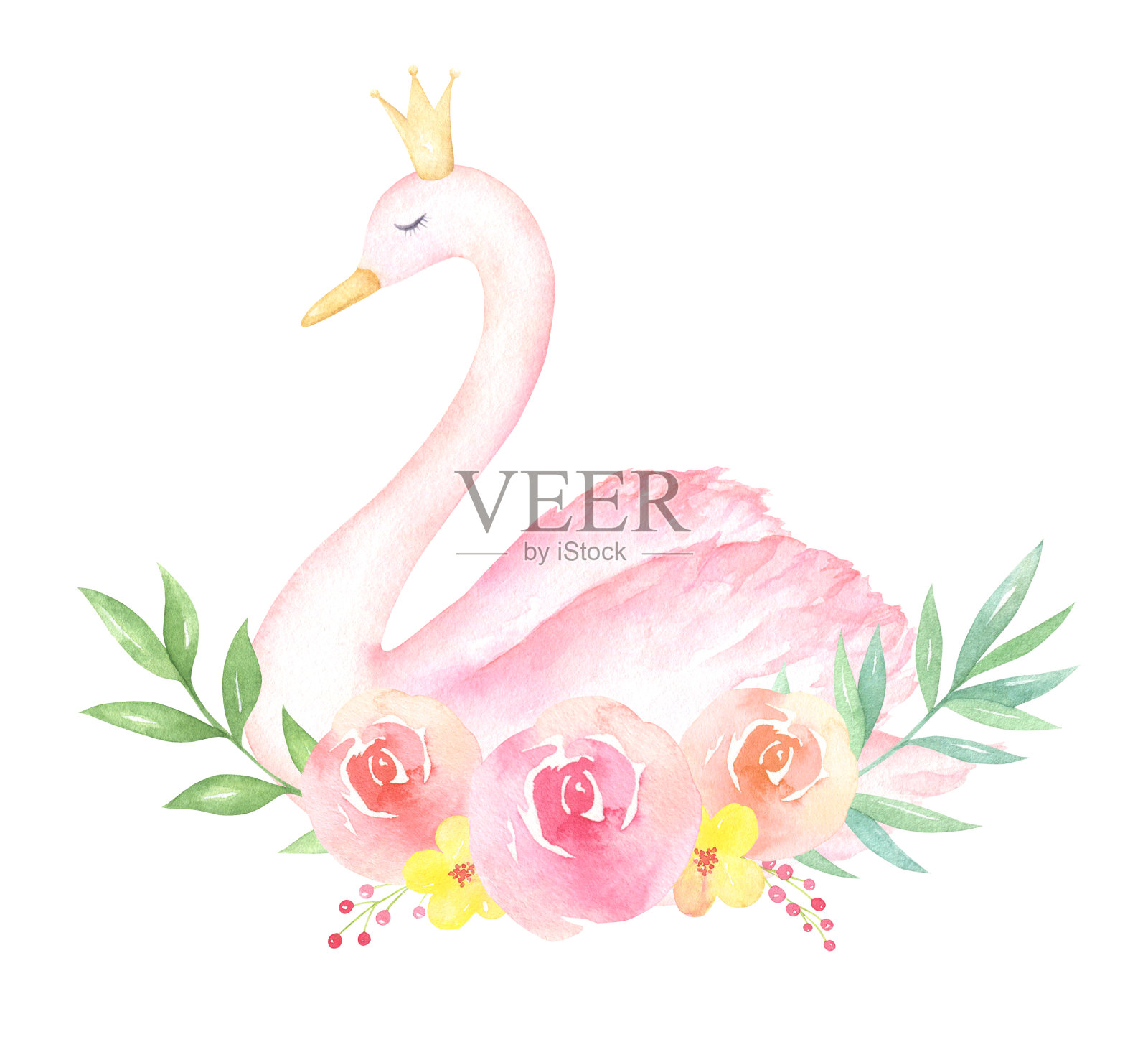 水彩粉色天鹅插图插画图片素材