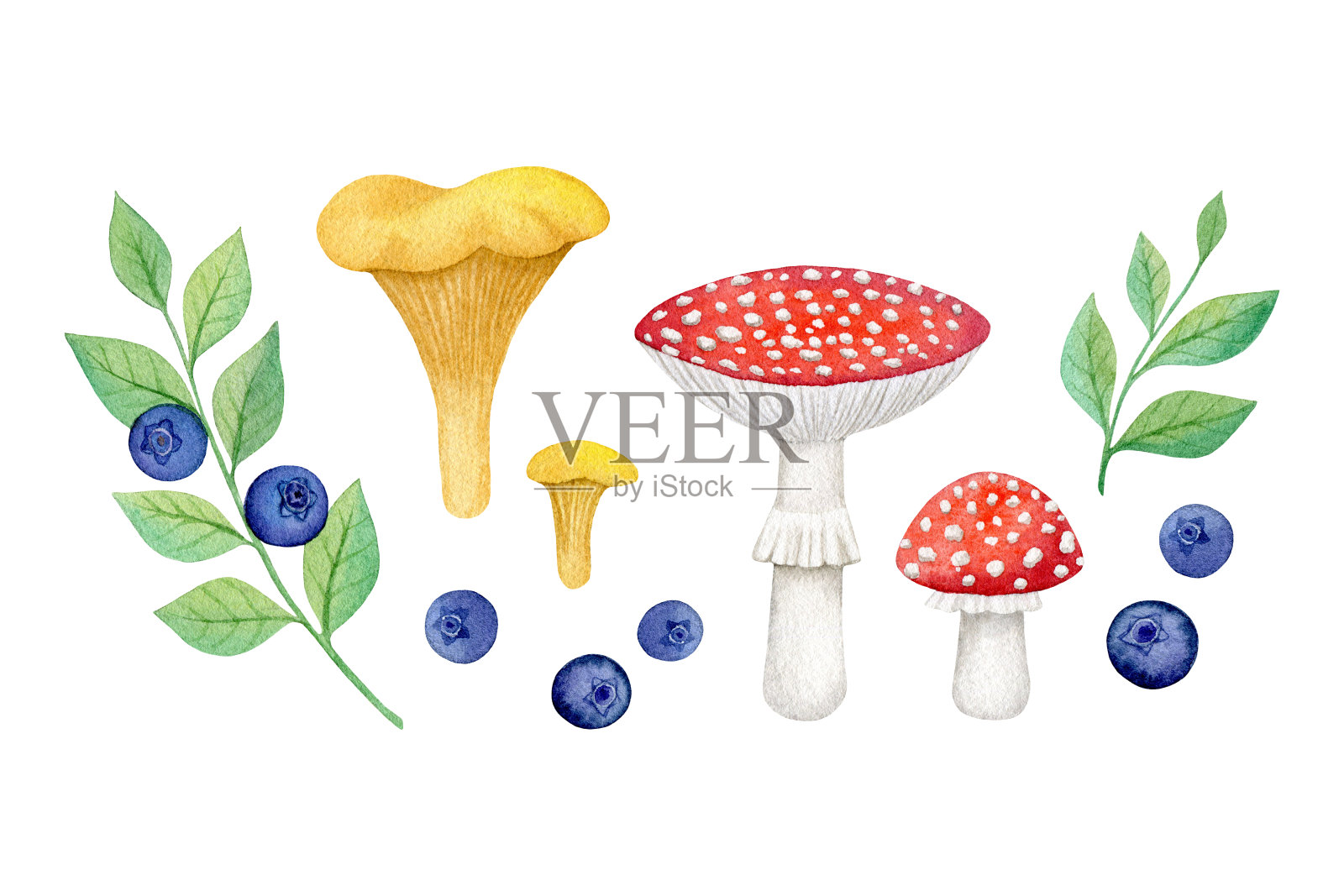 水彩设置的彩色蘑菇和浆果孤立在白色的背景插画图片素材